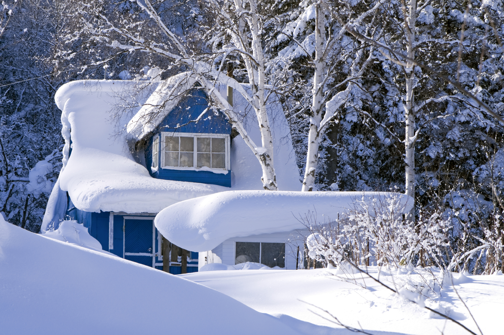 Your Furnace's Top 5 Requests to Prepare for the Harsh Winter Ahead ...