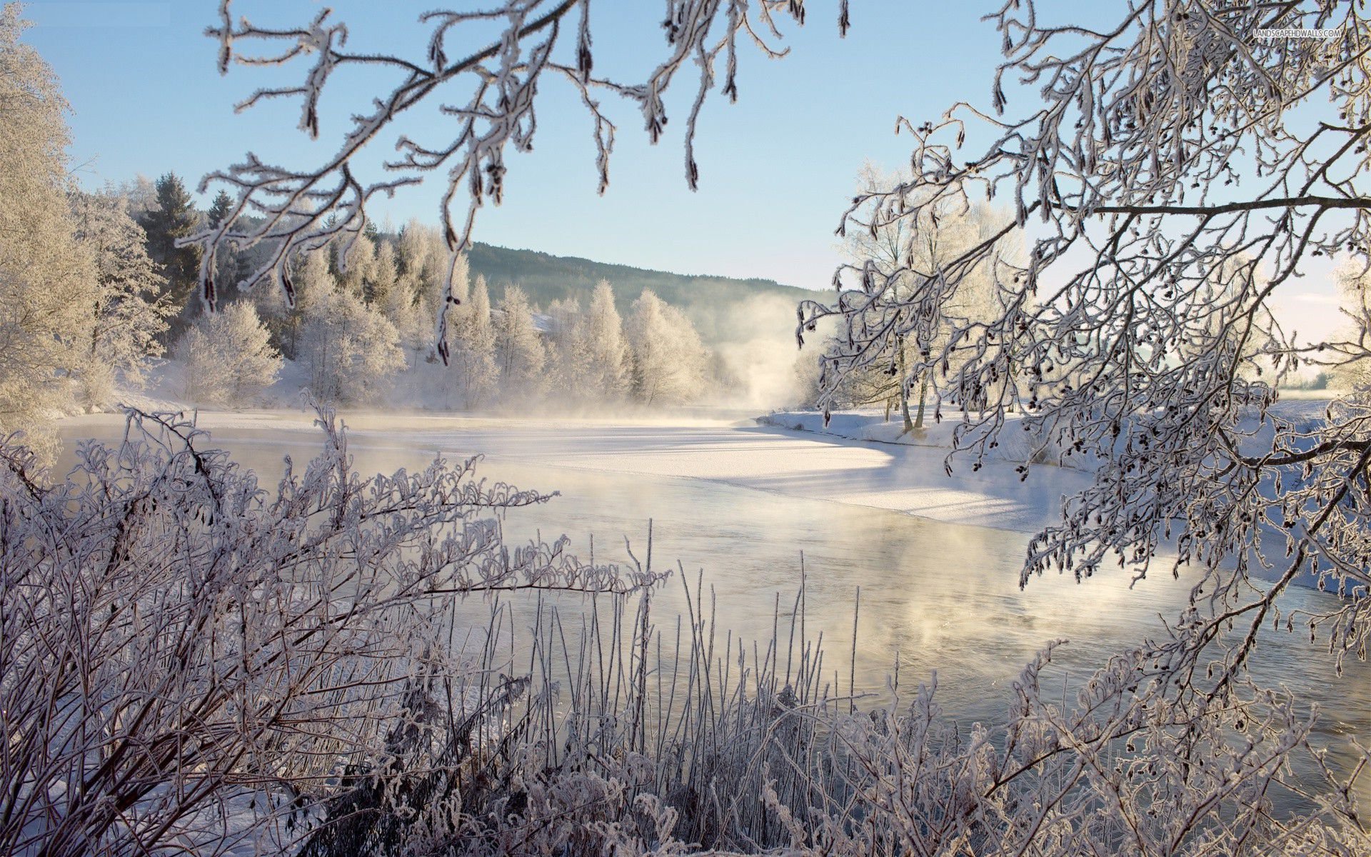 Misty Lake On A Cold Winter Morning - WallDevil