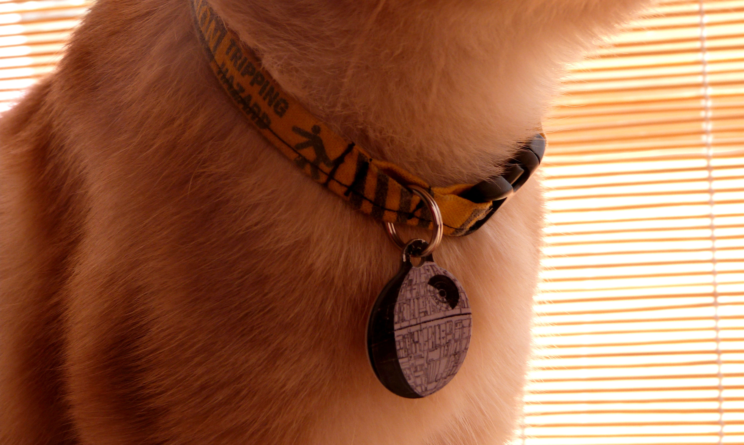 Collar & tag photos for website feedback, Accessories, Gear, Tripping, Tag, HQ Photo