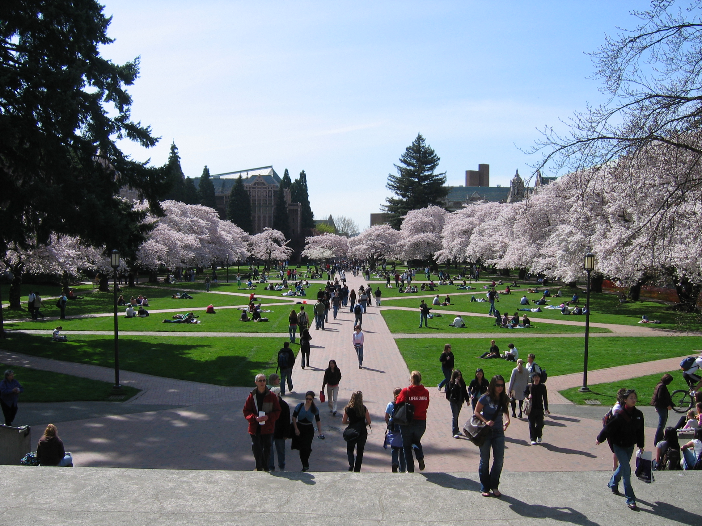 File:University of Washington Quad, Spring 2007.jpg - Wikimedia Commons