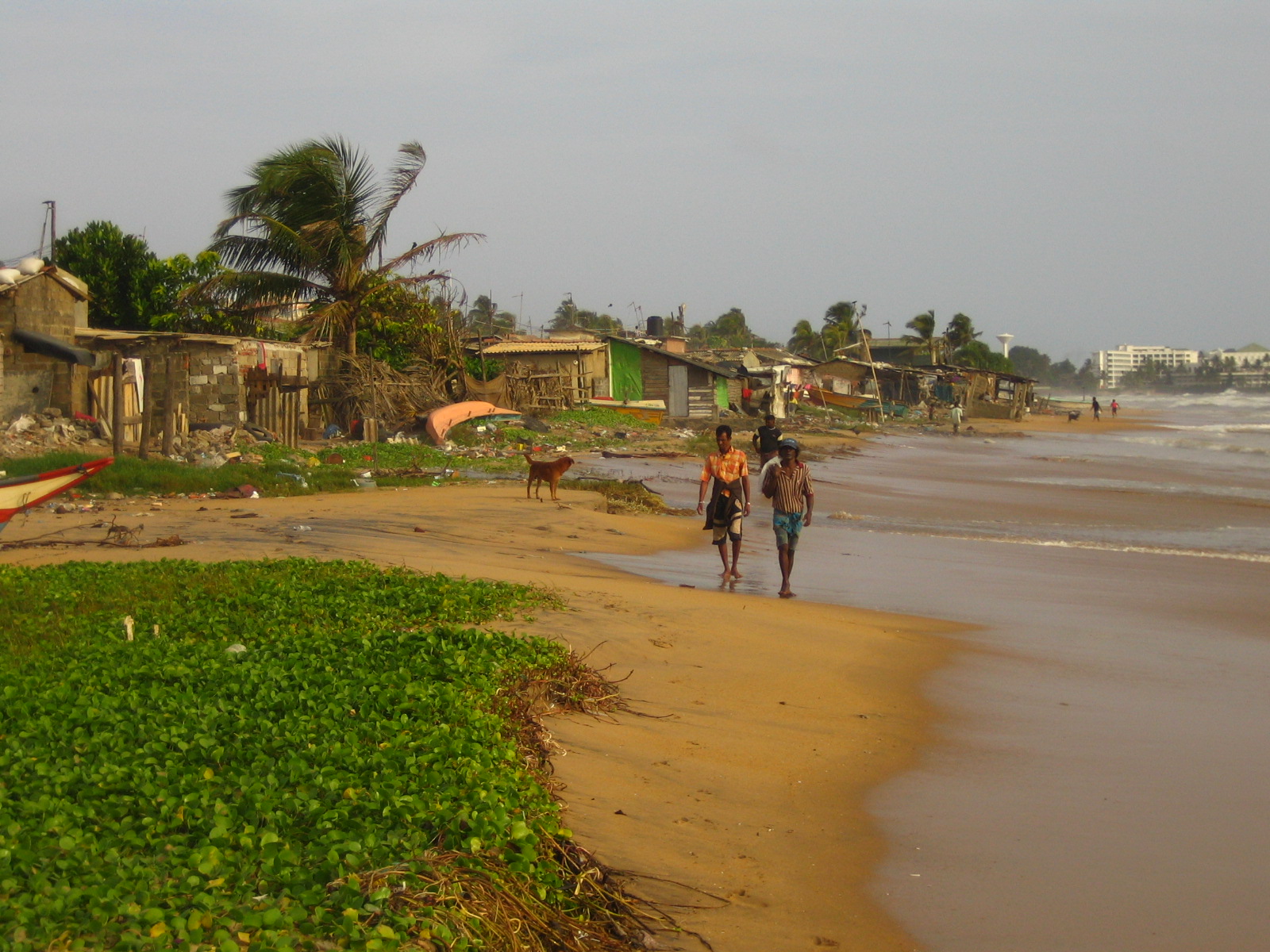 File:Beach slum - Colombo - Sri Lanka.jpg - Wikimedia Commons