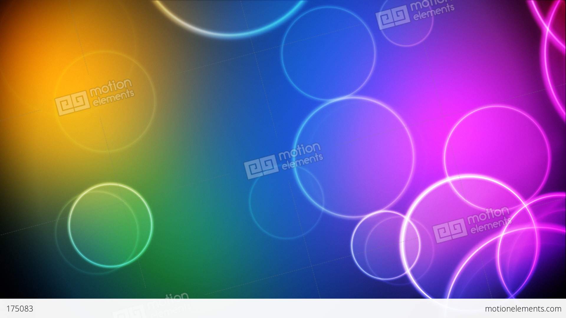 Color Circles Loop Stock Animation | 175083