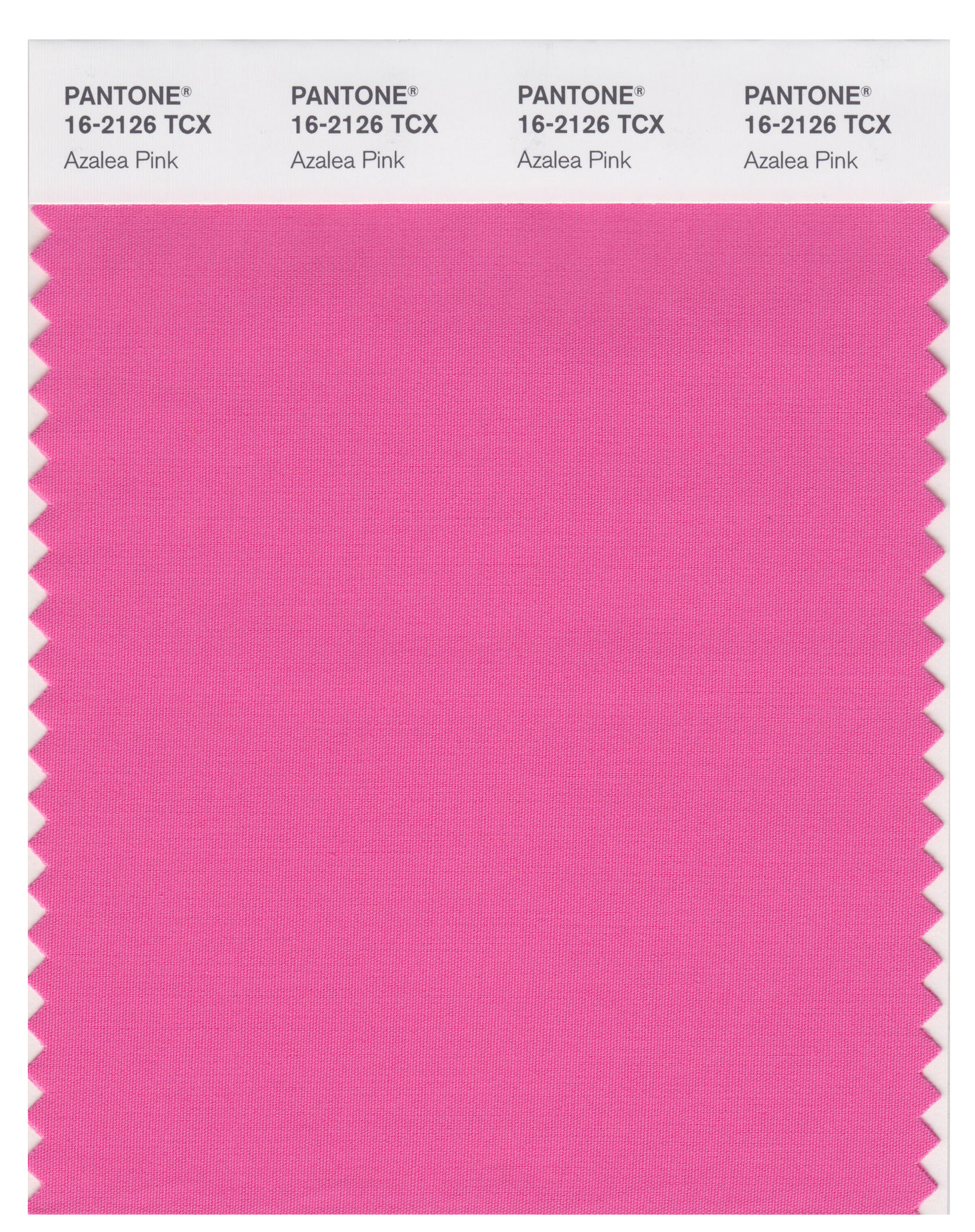 Pantone Smart 16-2126 TCX Color Swatch Card | Azalea Pink | Magazine ...