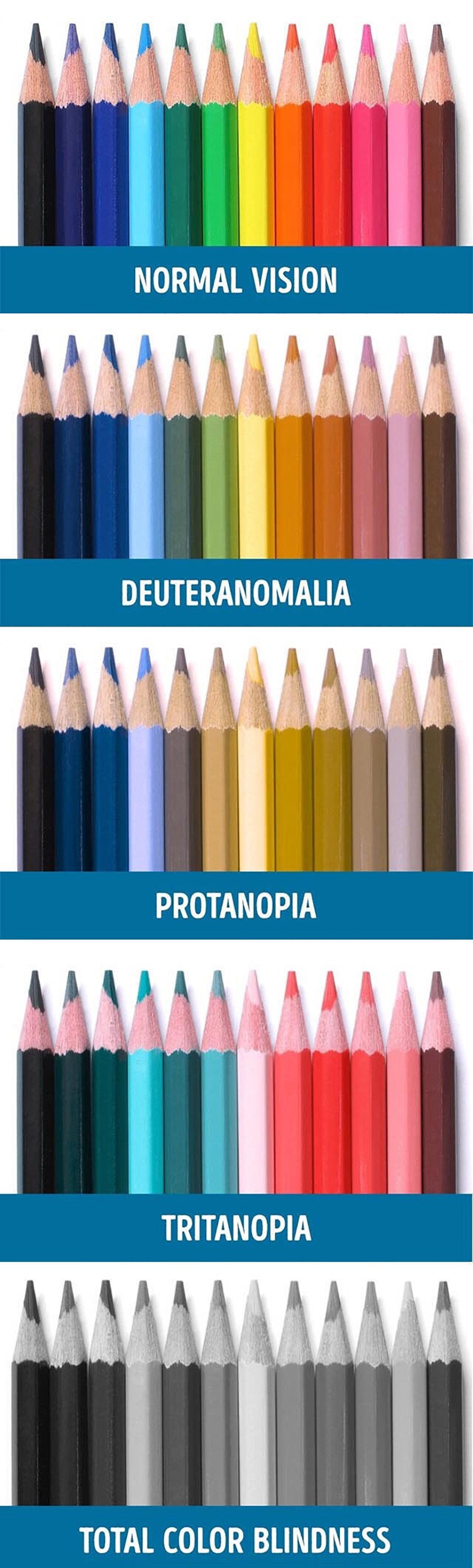 Color Blindness Demonstration Using Coloured Pencils