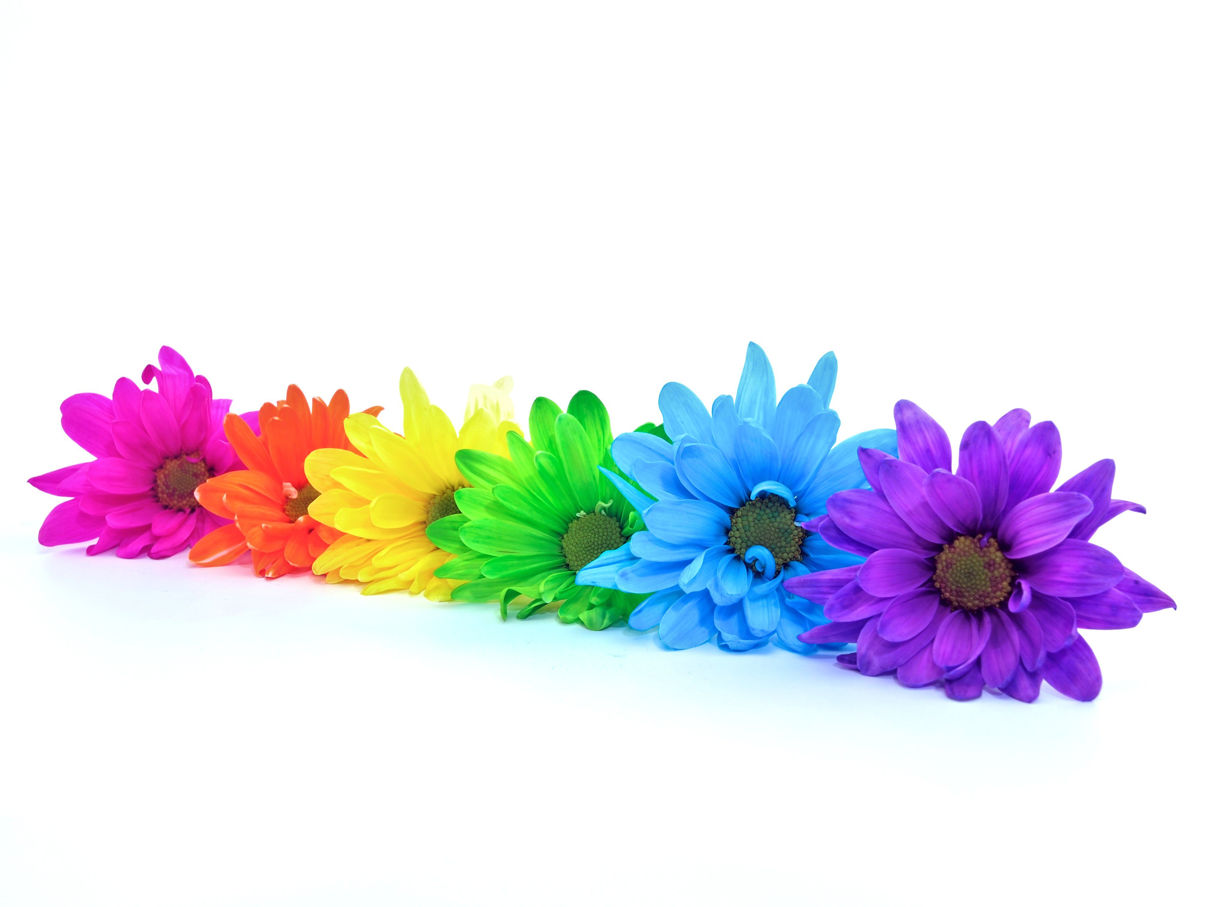 How to Make Colored Flowers
