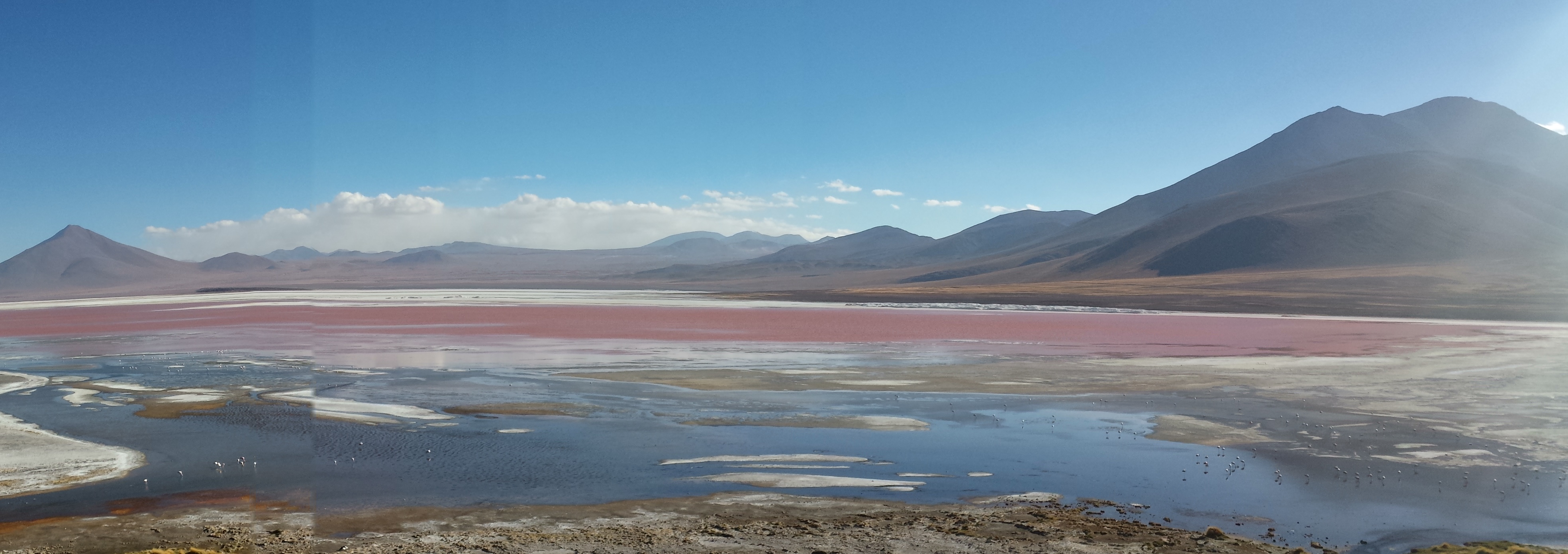 Colored lake in bolivia photo
