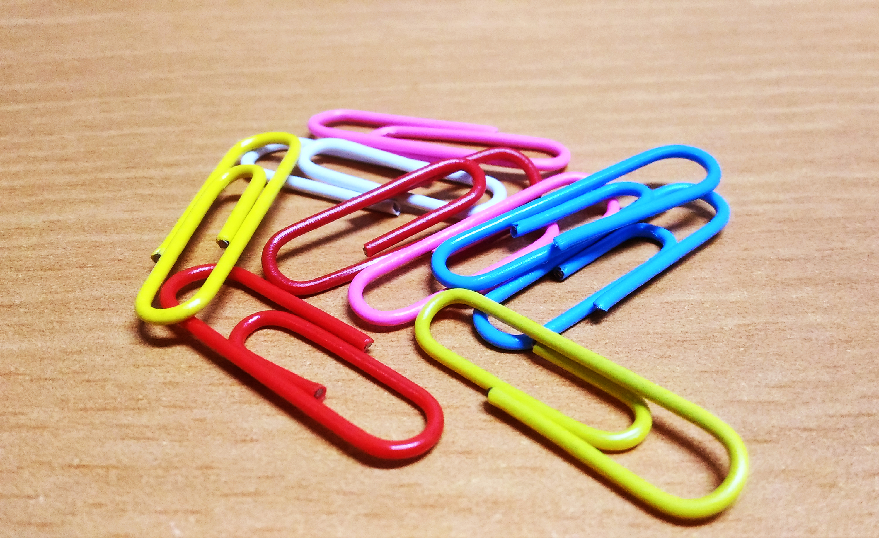 Colored paper clips photo