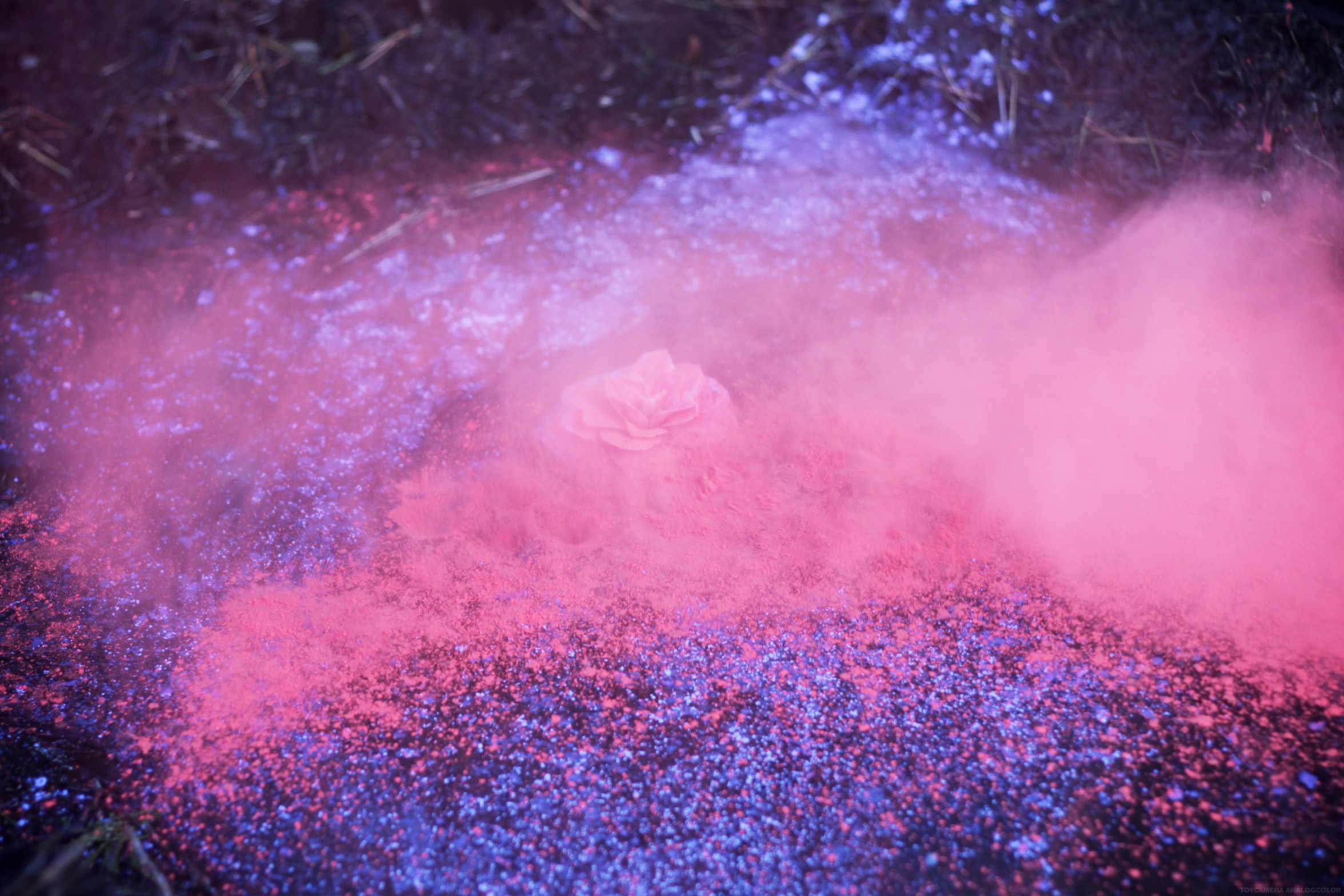 coloured smoke bomb | color / ideas | Pinterest