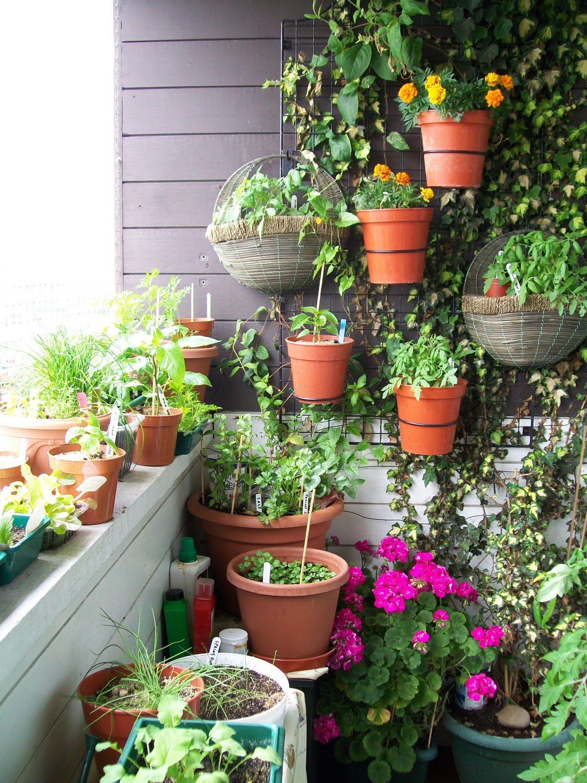 Balcony Plants Ideas - Cool Creative Ideas Small Balcony Garden by ...