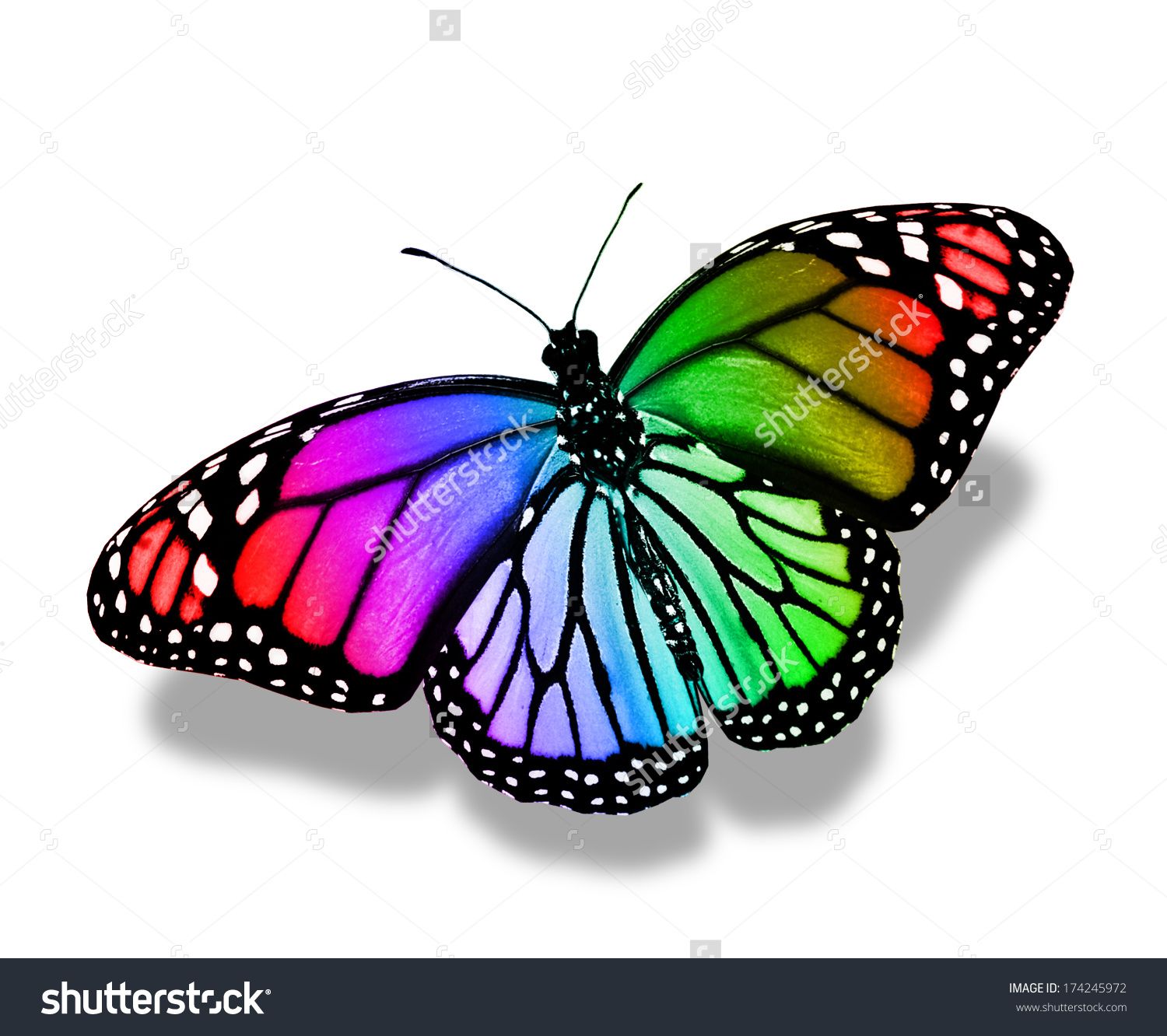 colorful butterflies - Google Search | QUILTS I LOVE! | Pinterest ...