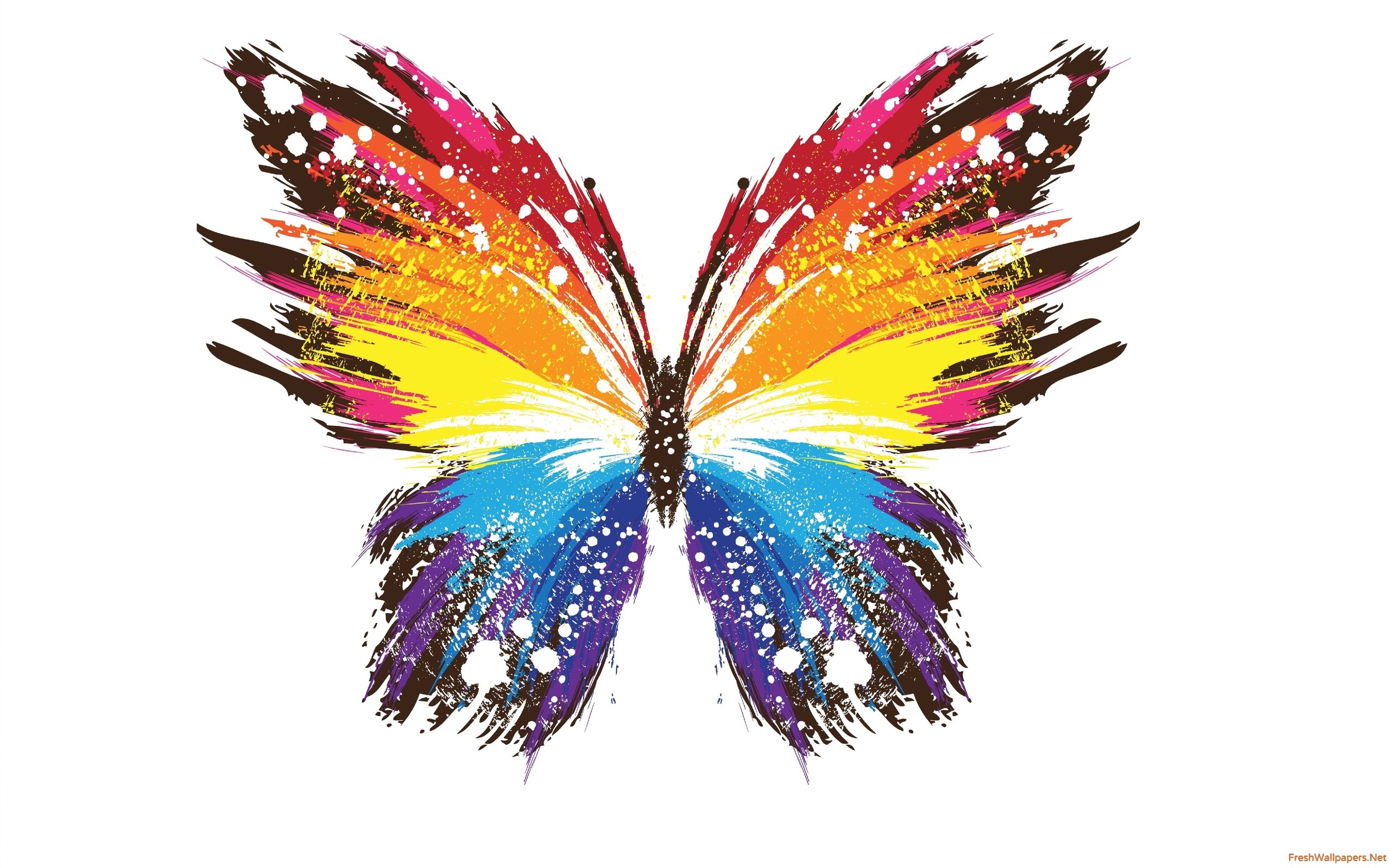 Colorful Butterfly Painting wallpapers | Freshwallpapers