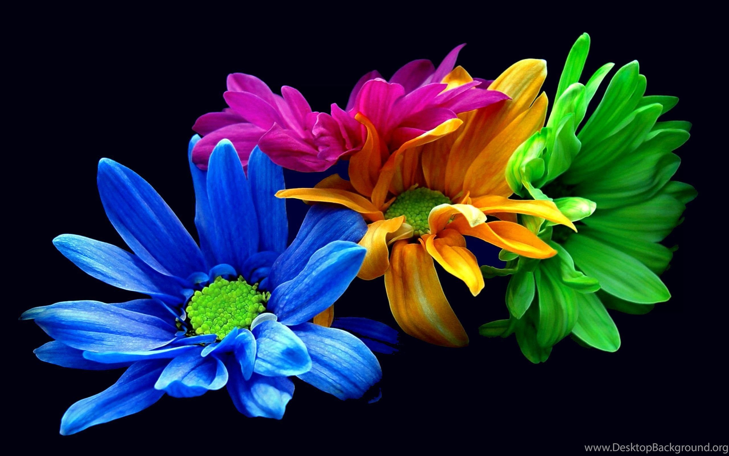 Colorful Flower Iphone Wallpapers : Nature Wallpapers Ngantukan.com ...