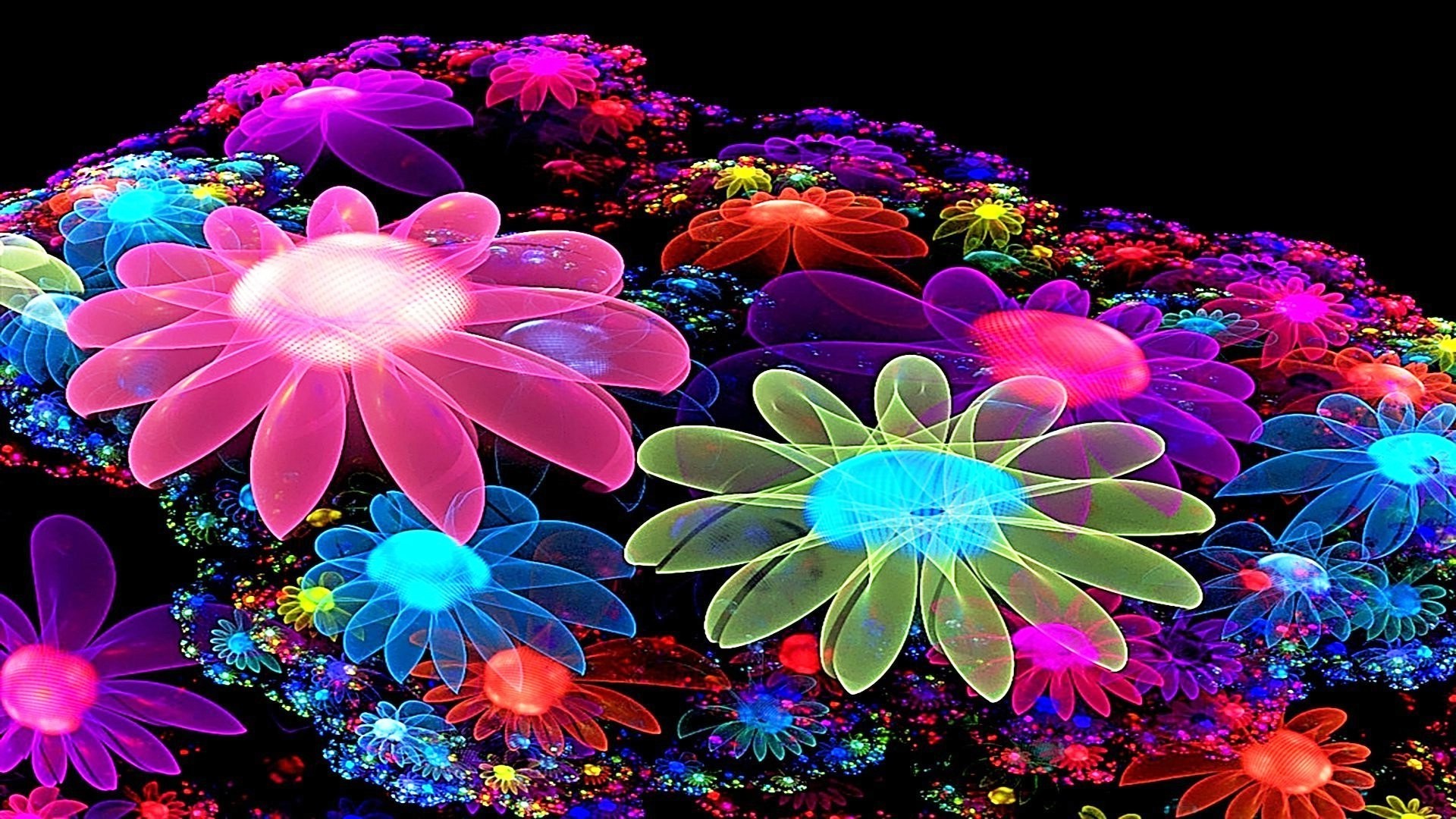 Colorful flower photo