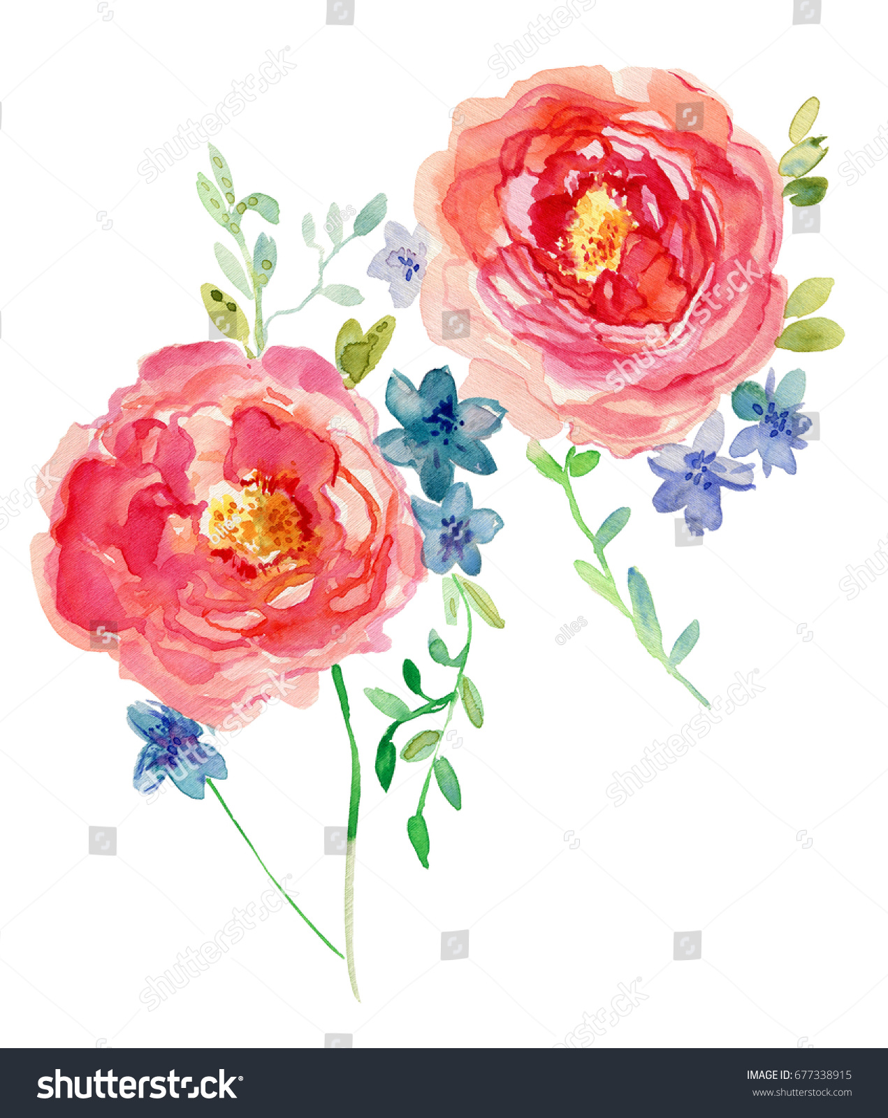 Beautiful Colorful Flower Watercolor Painting Stock Illustration ...