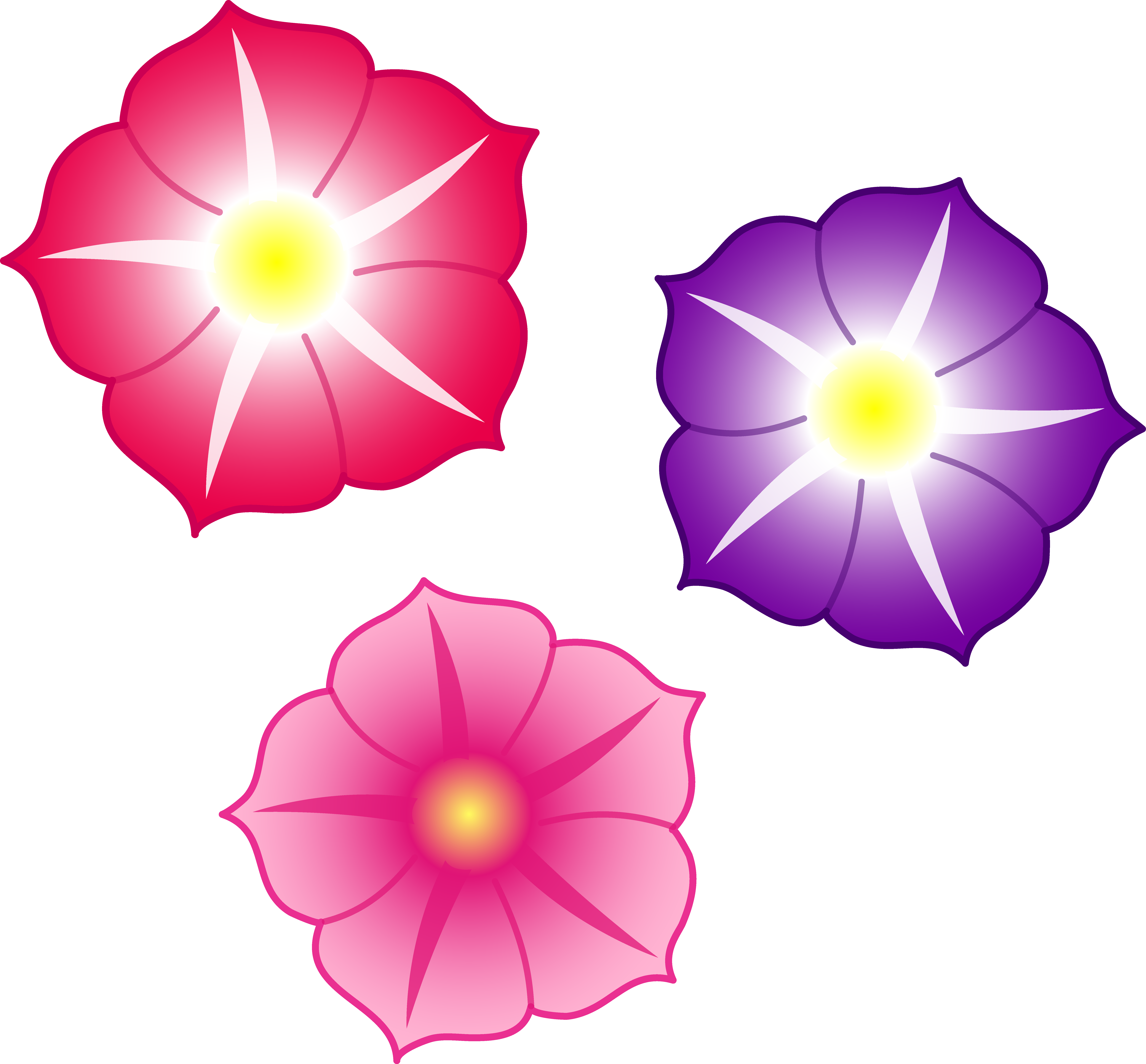 Colorful Flowers PNG File | PNG Mart