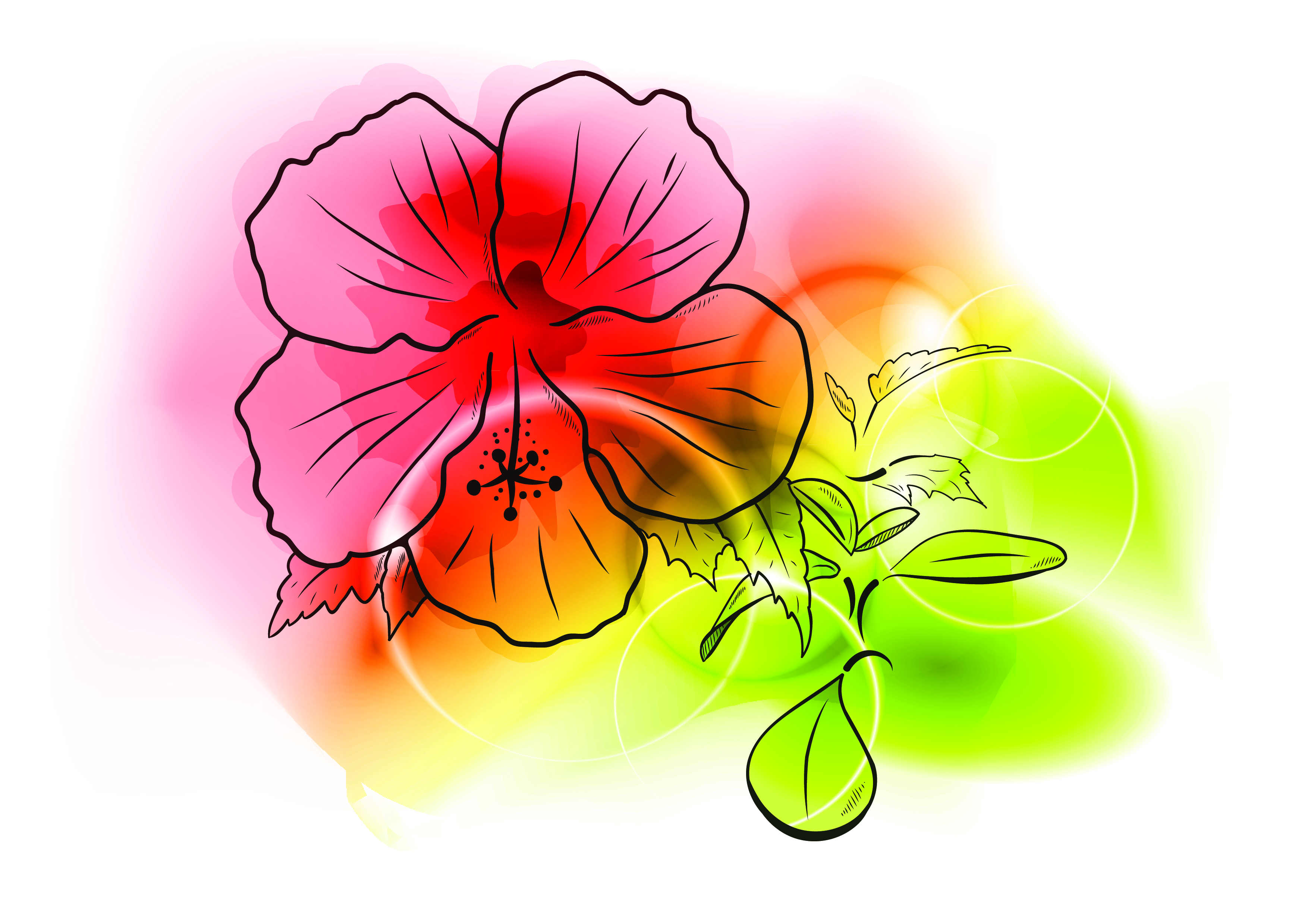 Colorful flowers background vector Free Vector / 4Vector