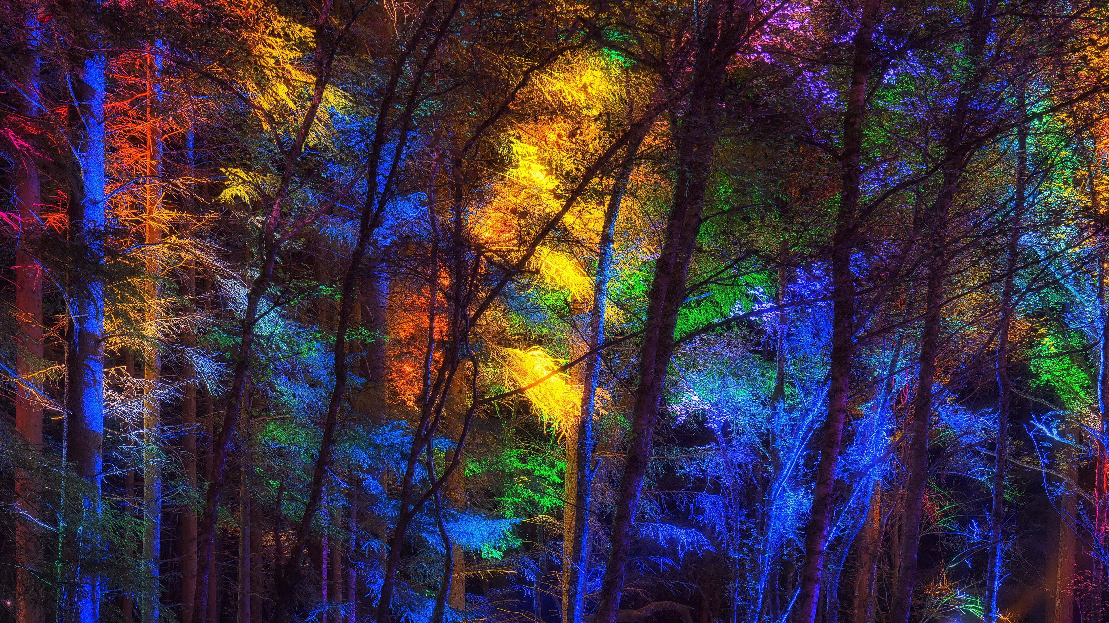 Colorful Forest Lights Wallpaper | Wallpaper Studio 10 | Tens of ...