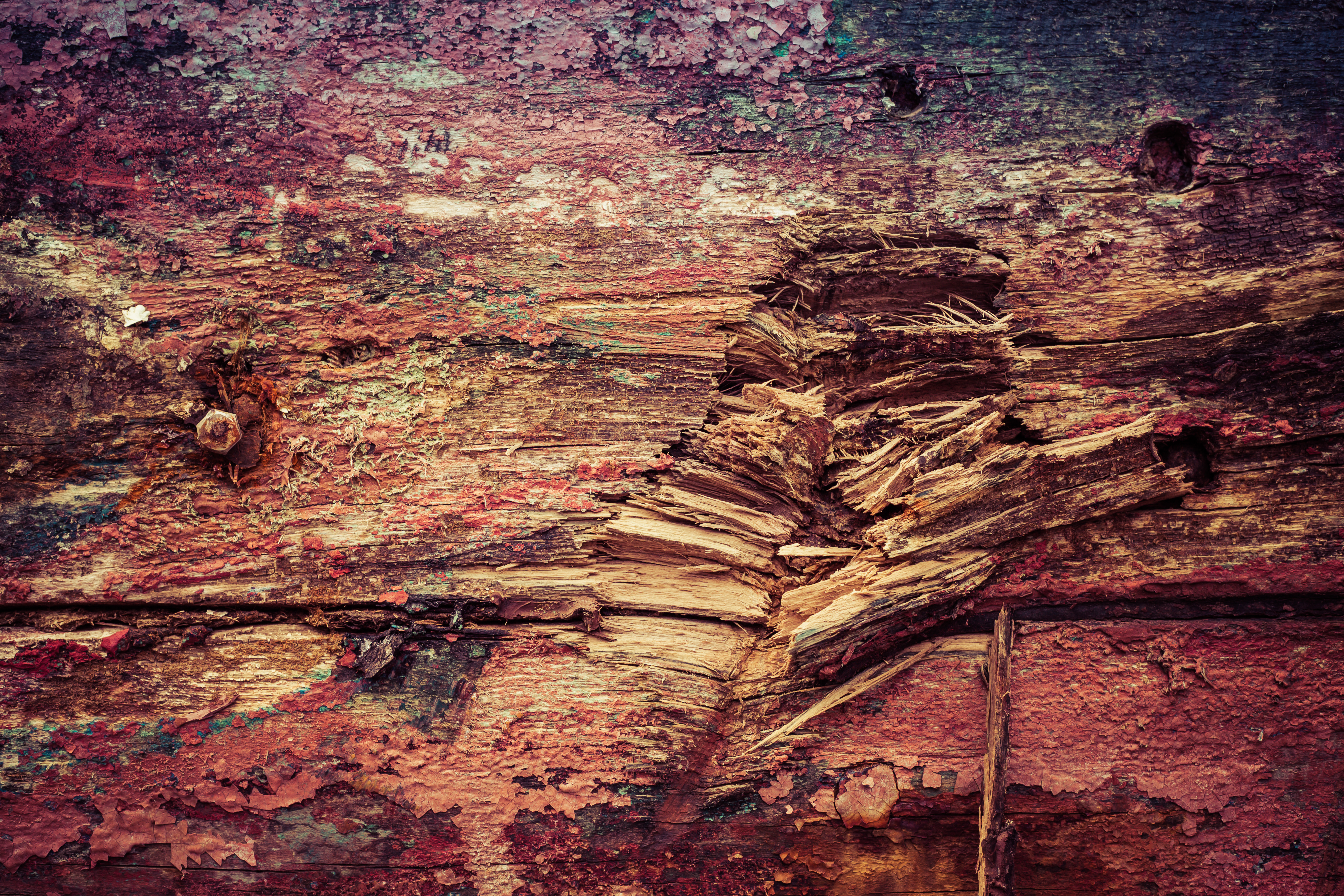 Colorful Grunge Wood Texture, Colorful, Cracked, Damaged, Grunge, HQ Photo