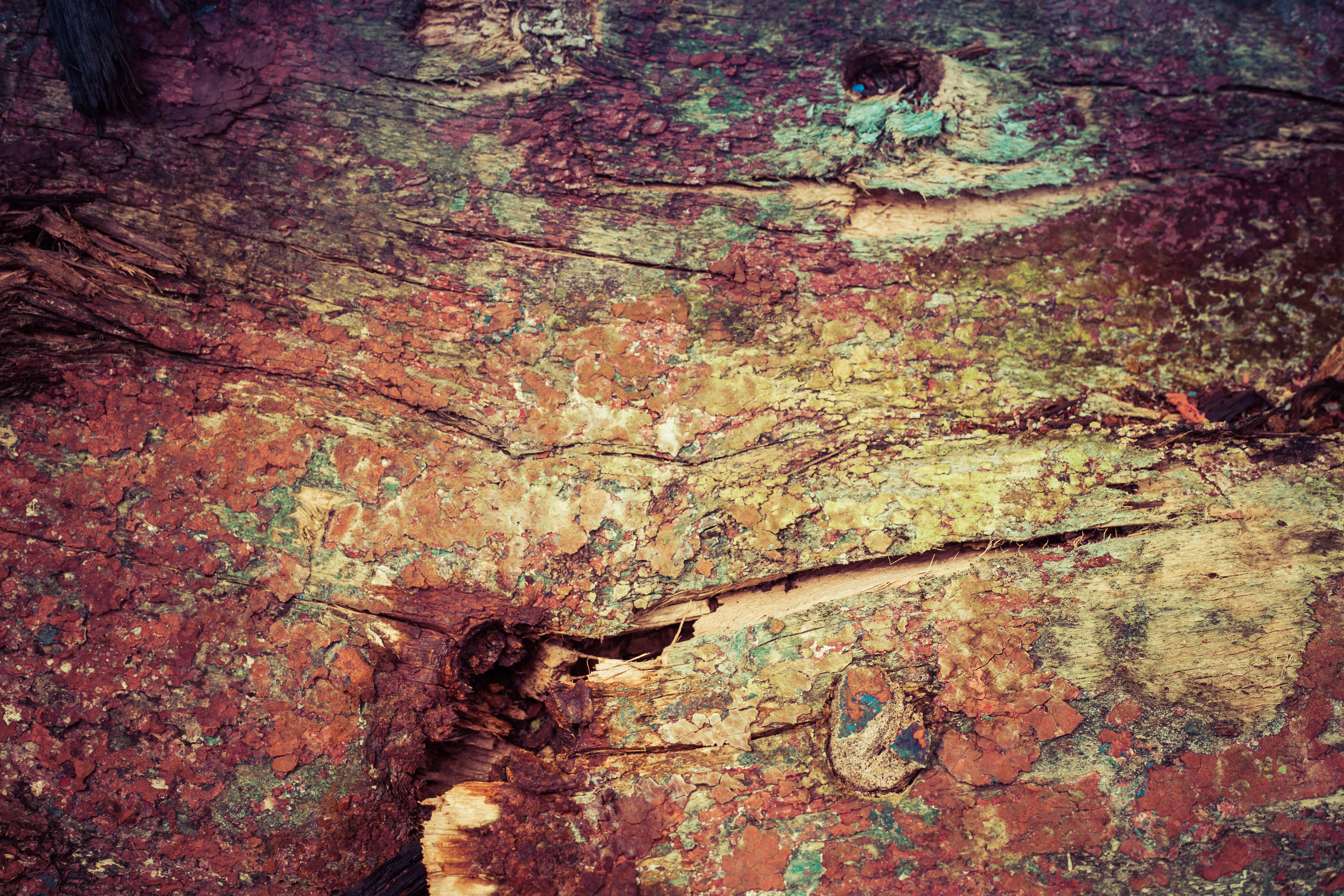 Colorful grunge wood texture photo