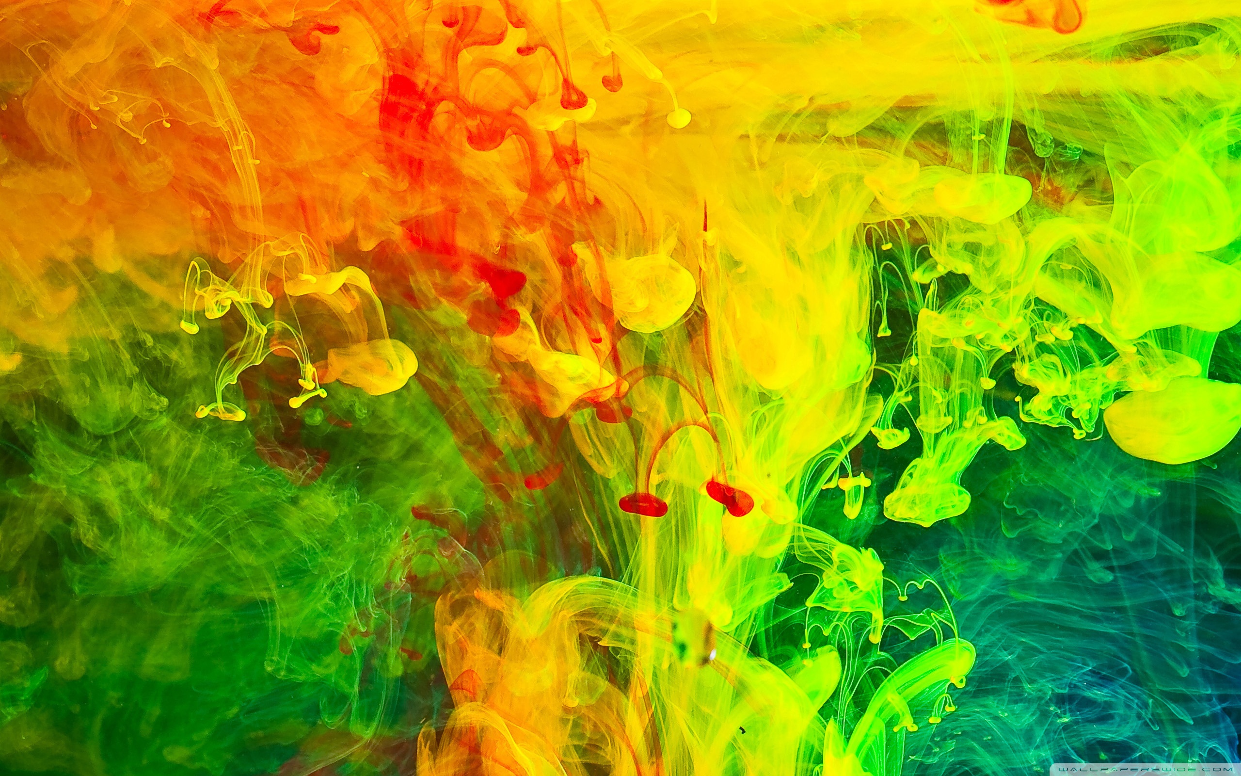 Colorful Paint in Water ❤ 4K HD Desktop Wallpaper for 4K Ultra HD ...