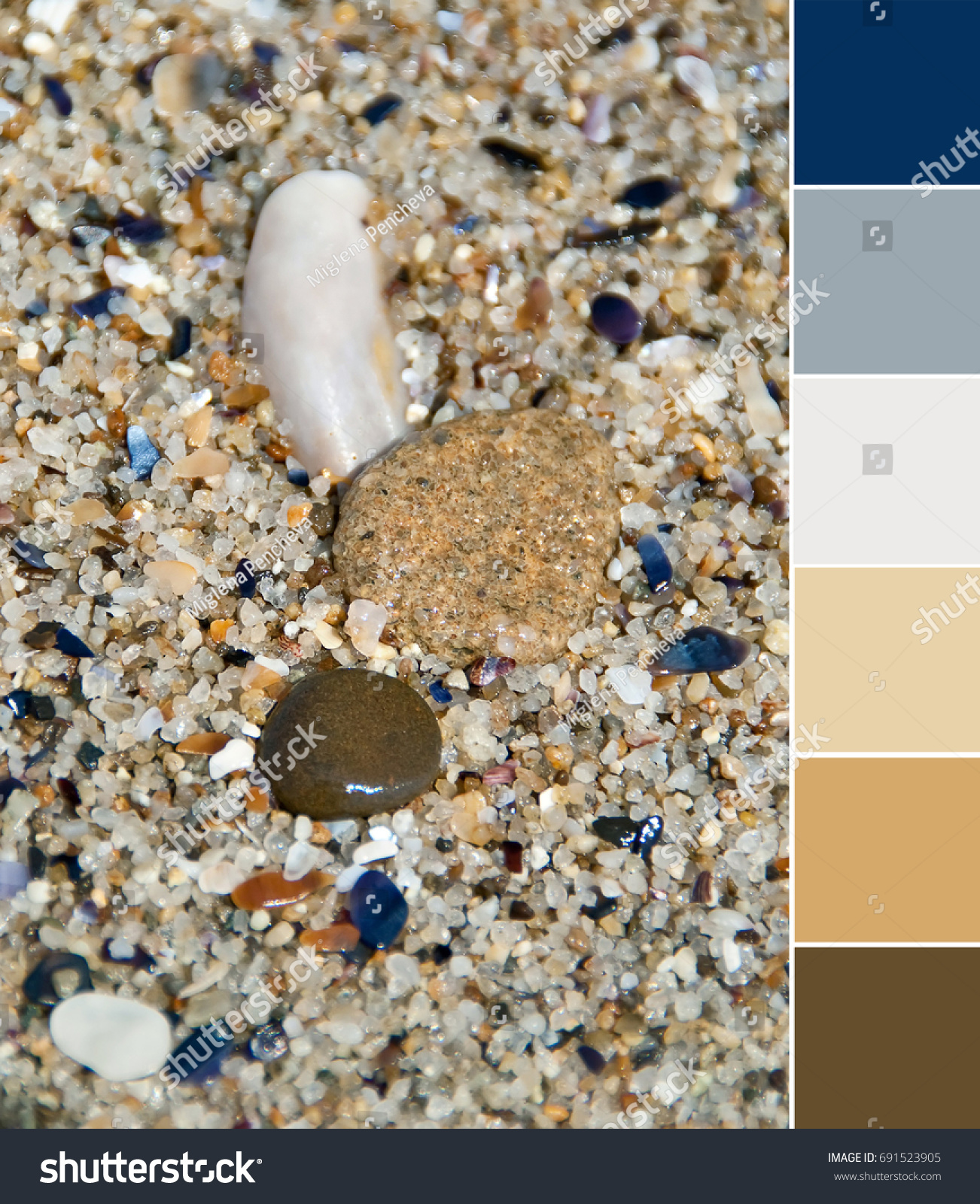 Pebbles Sand Sea Shells On Beach Stock Photo (Royalty Free ...