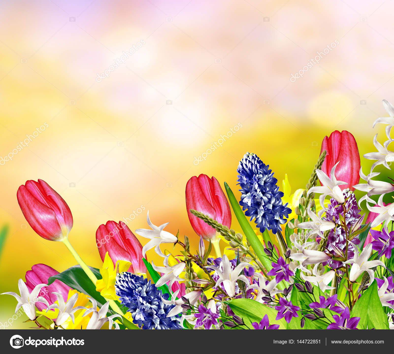 Bright and colorful spring flowers daffodils and tulips — Stock ...