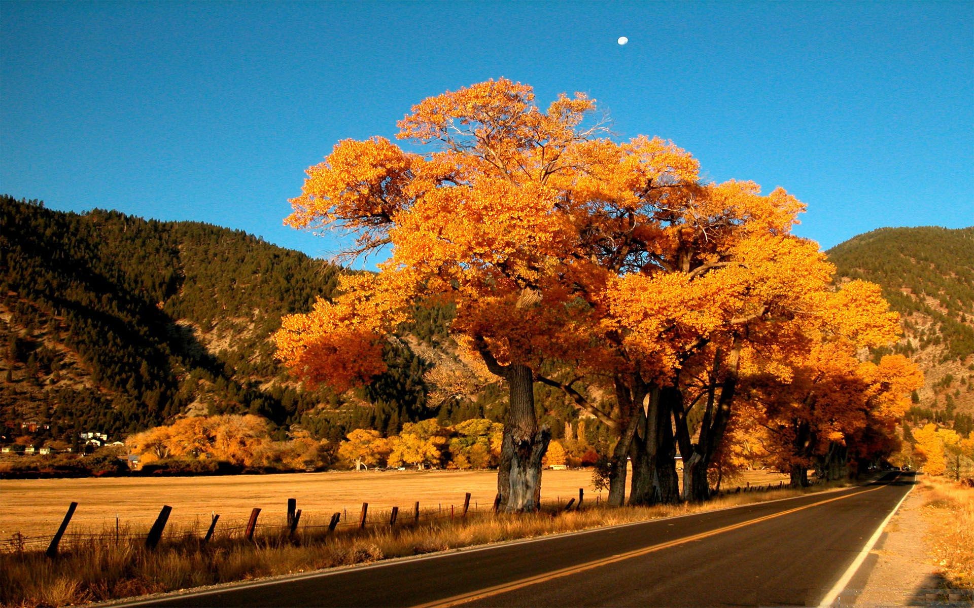Miscellaneous: Fall Colors Leaves Landscape Trees Road Autumn High ...