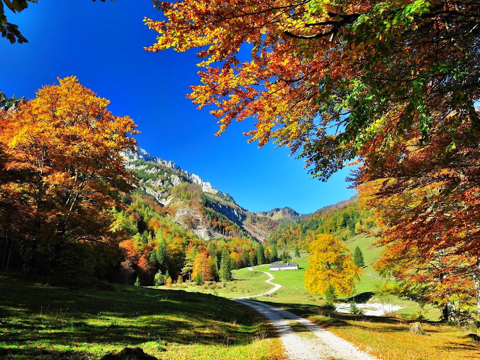 Mountain: Country Road Autumn Color Colors Mountains Trees Nature ...