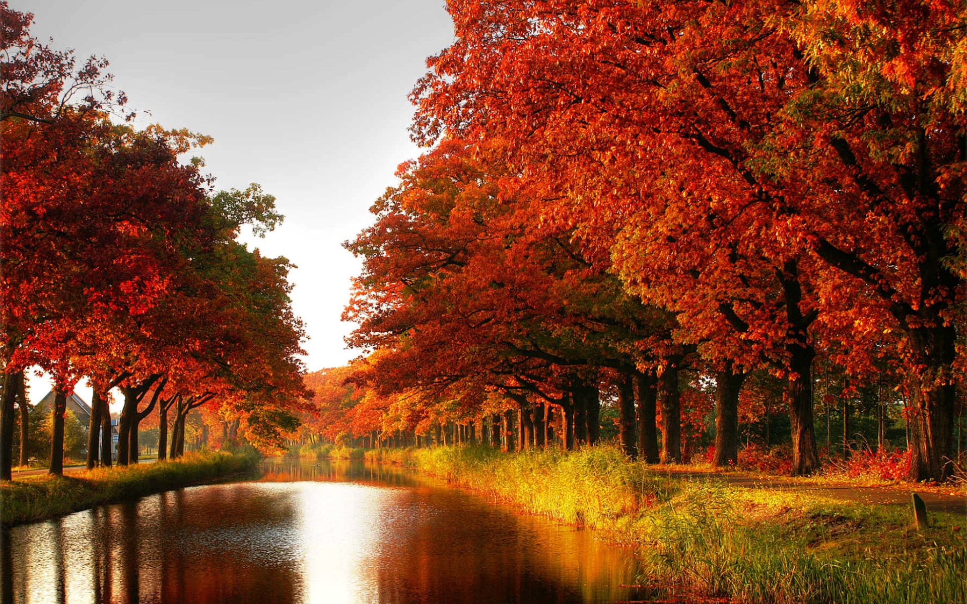 AUTUMN COLORS | AUTUMN | Pinterest | Bright colours, Autumn and ...