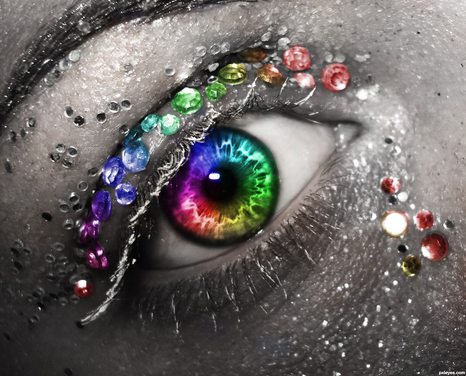 Colors of Life picture, by dem90 for: rainbowified photoshop contest ...