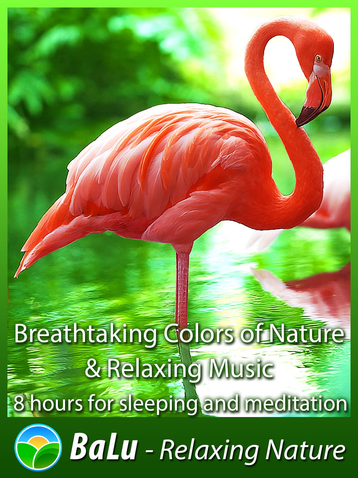 Amazon.com: Breathtaking Colors of Nature & Relaxing Music - 8 hours ...