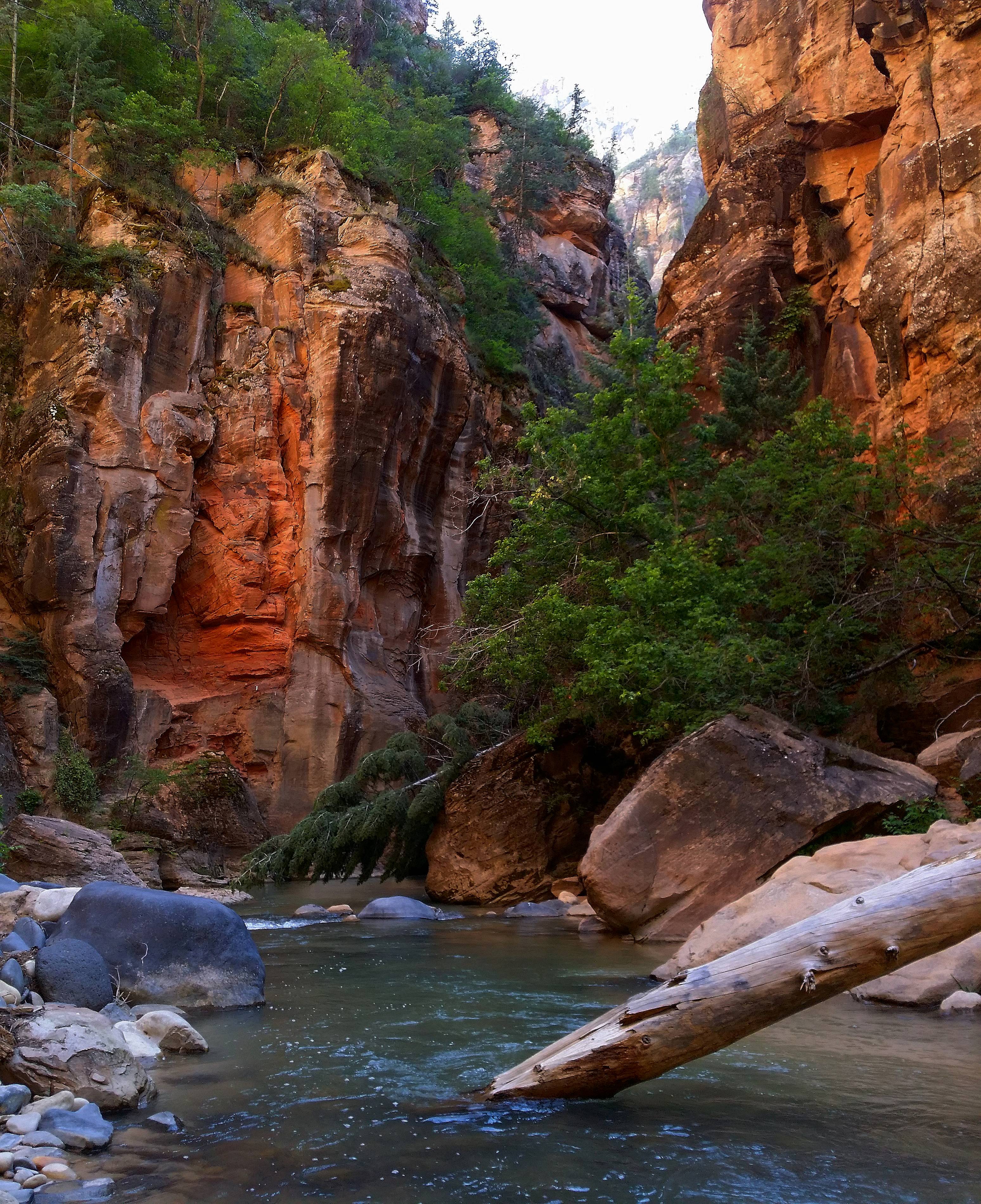 The natural unedited colors of nature. The Narrows at Zion National ...