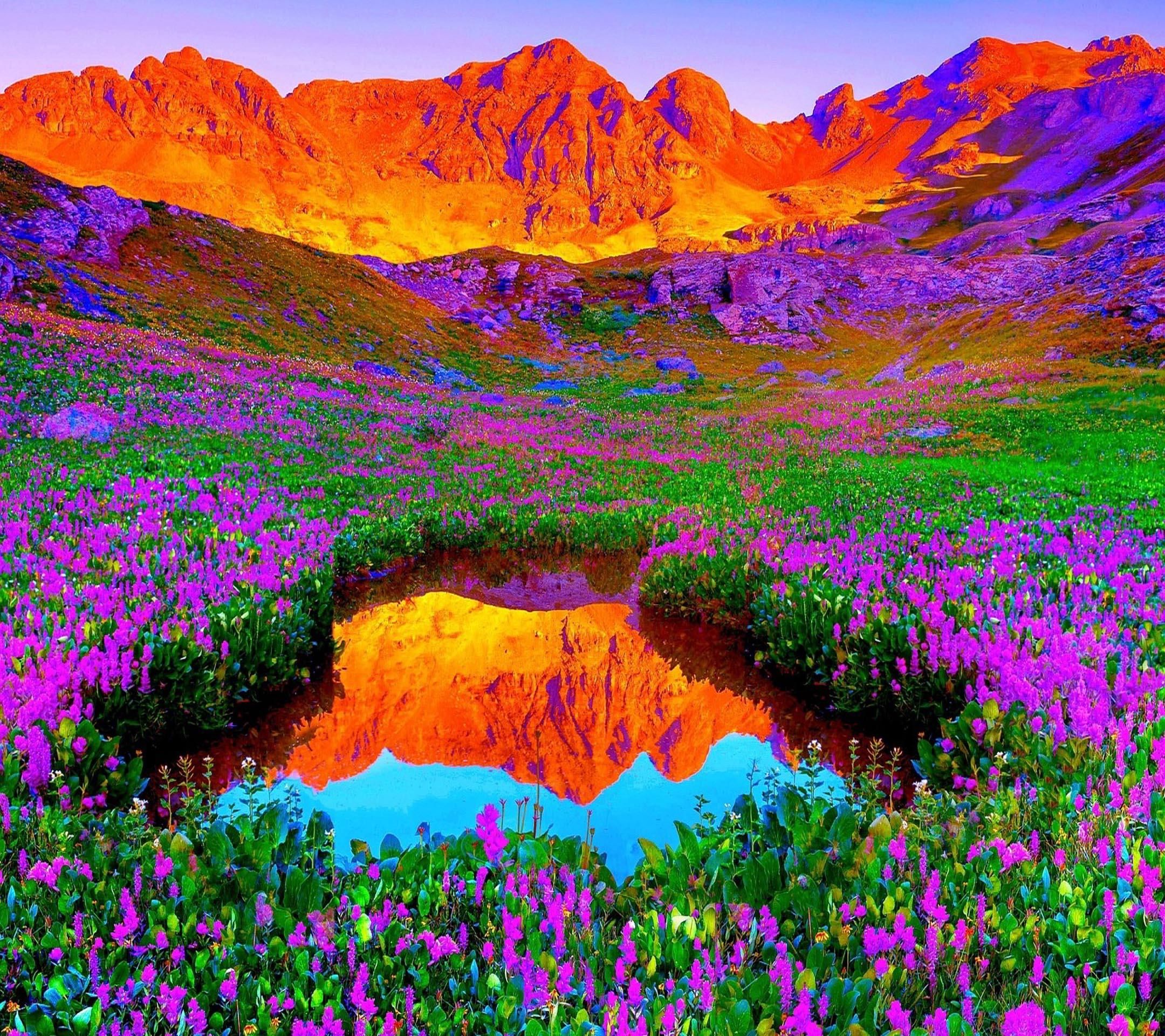 Colors of nature | Peaceful Paradise | Pinterest | Paradise