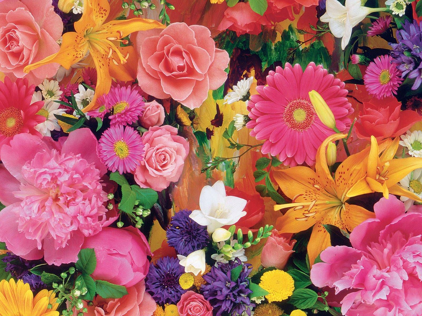 flowers | colourful flowers 1 - flower Fanart | Flora | Pinterest ...
