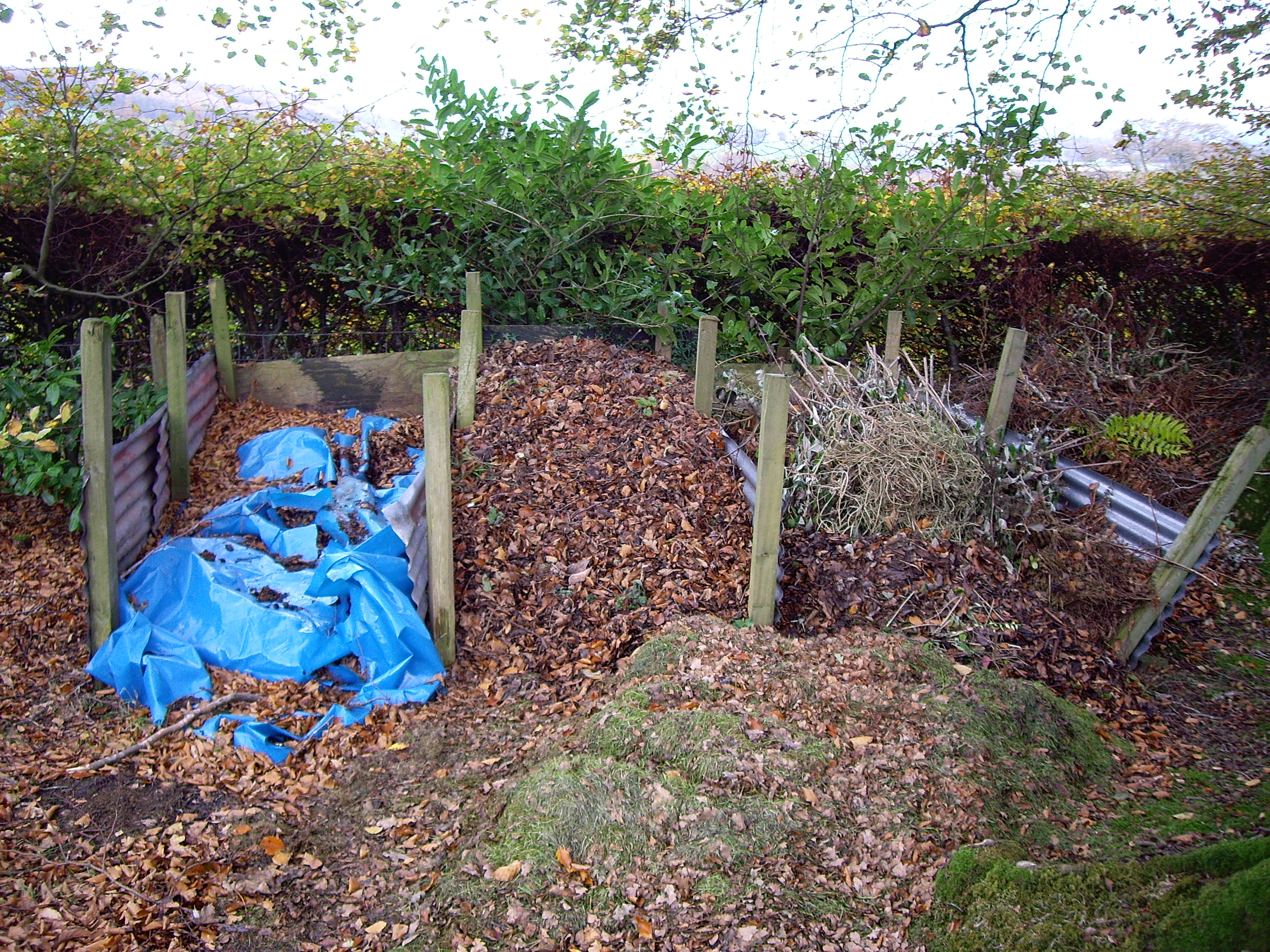 How to Make a Compost Heap: Recycling your Grass Cuttings and Much ...