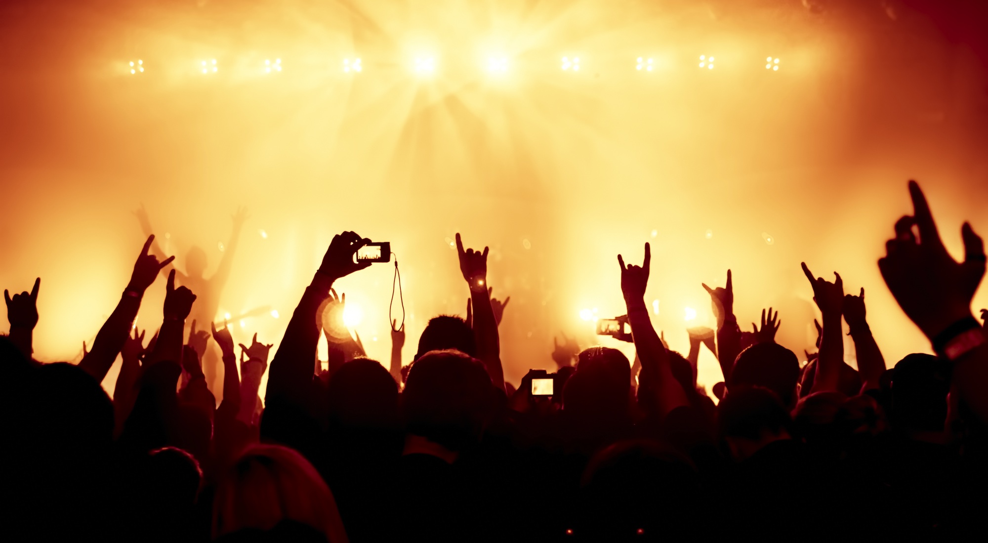 The 6 Worst Things About Going To A Concert