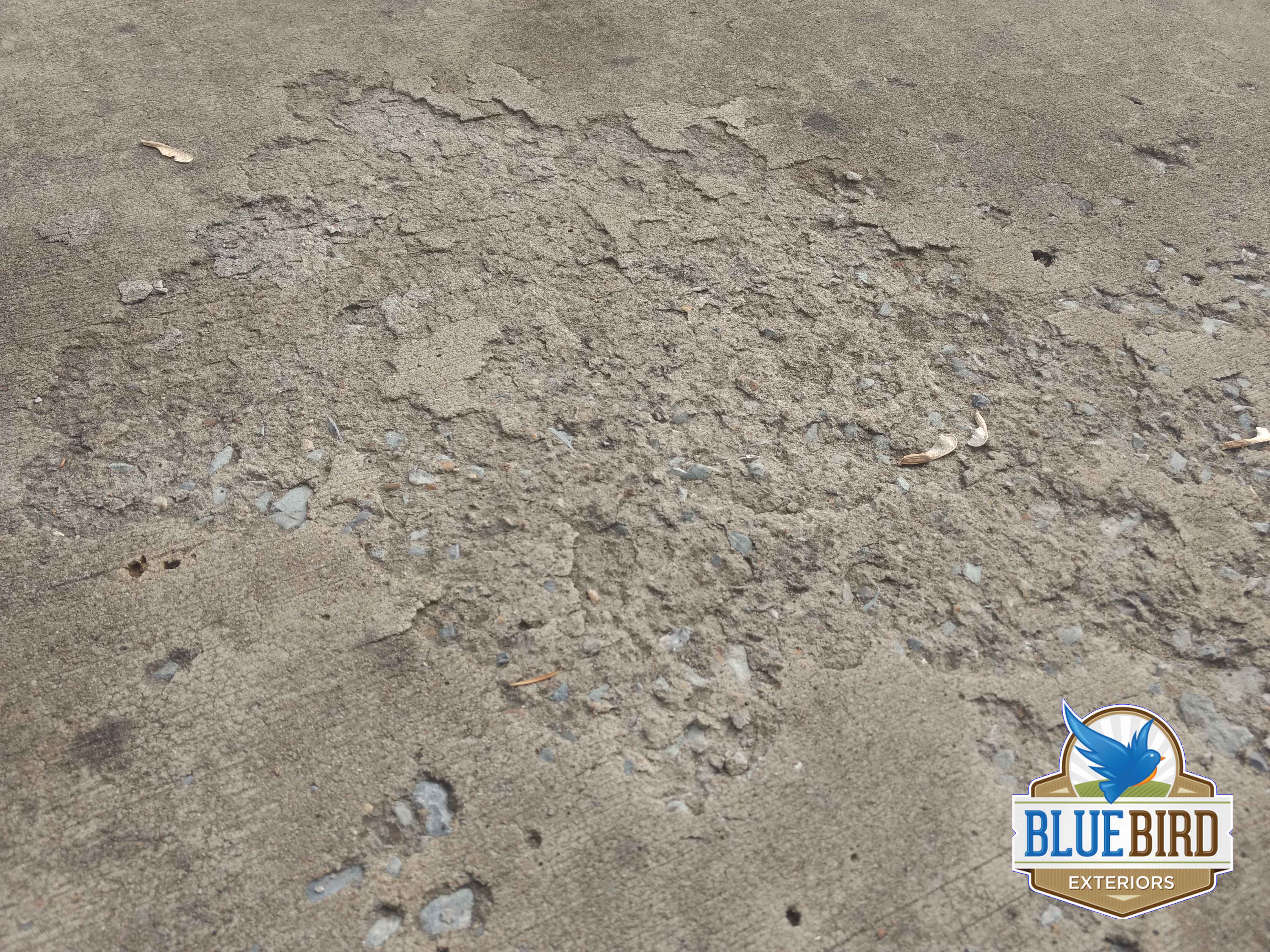 Why Concrete Surfaces Chip and Flake - Bluebird Exteriors, LLC
