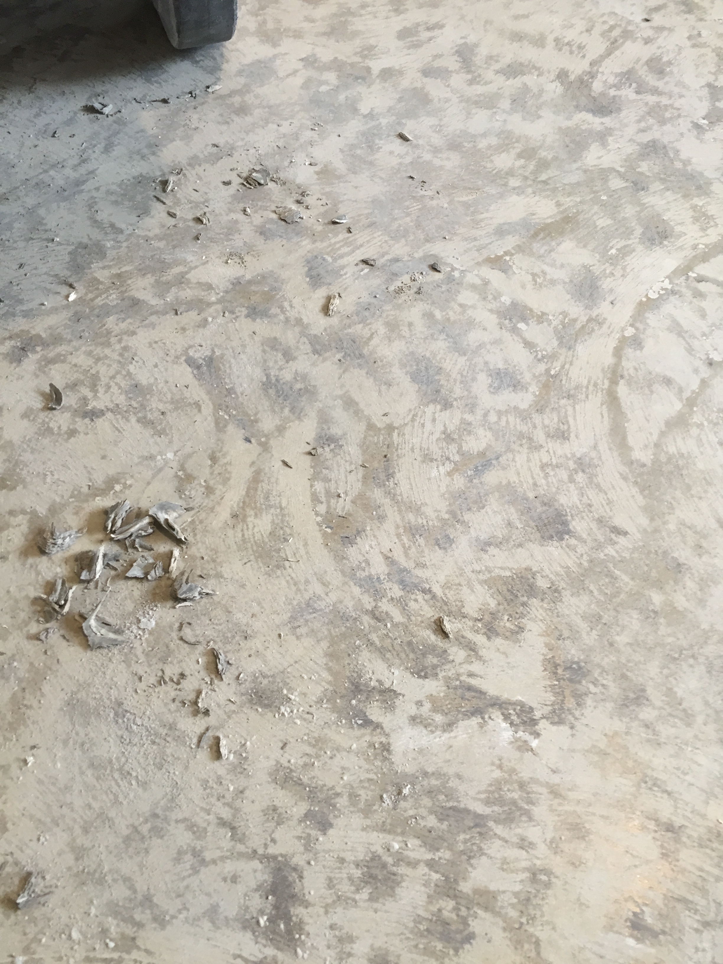 Preparing Your Polished Concrete Floor - The Polished Concrete Company