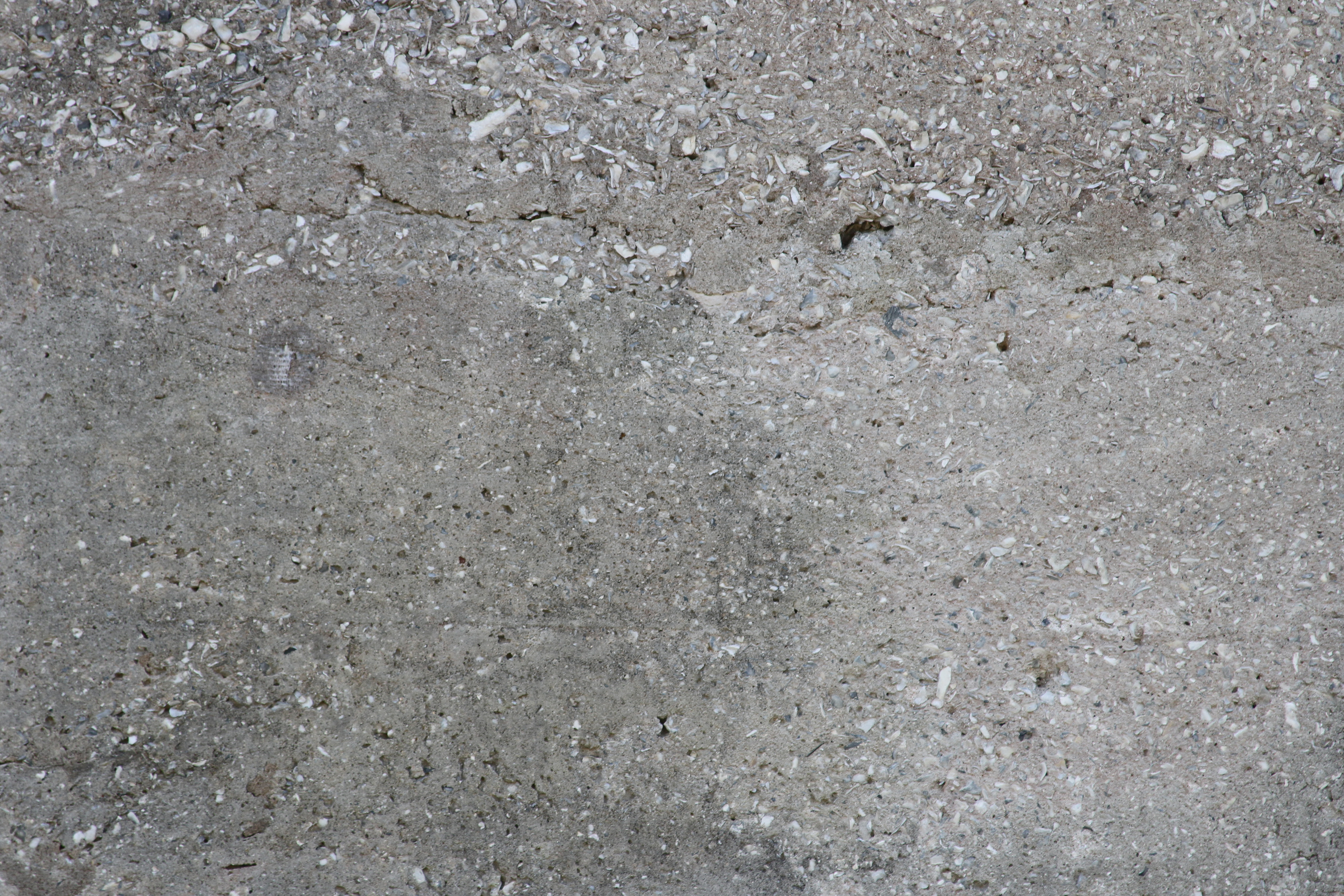 Shell Concrete Texture - 14Textures