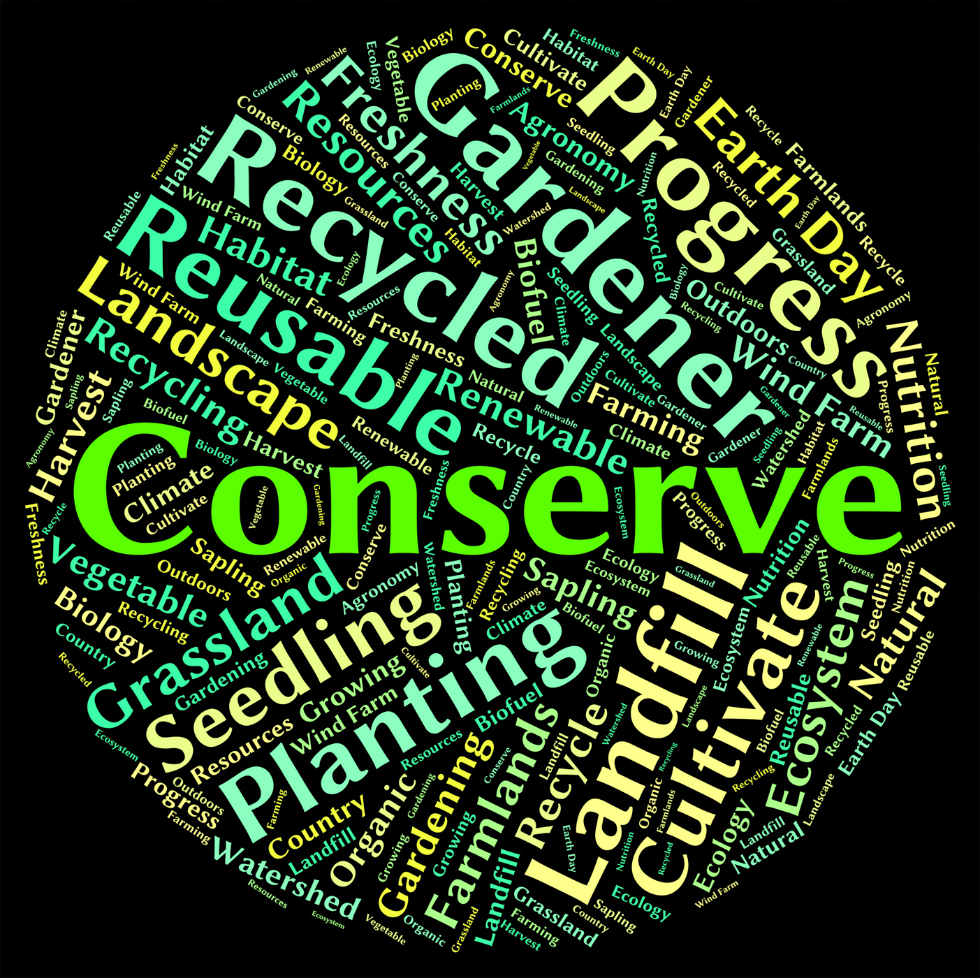 Conserve word indicates sustain protecting and conservation photo