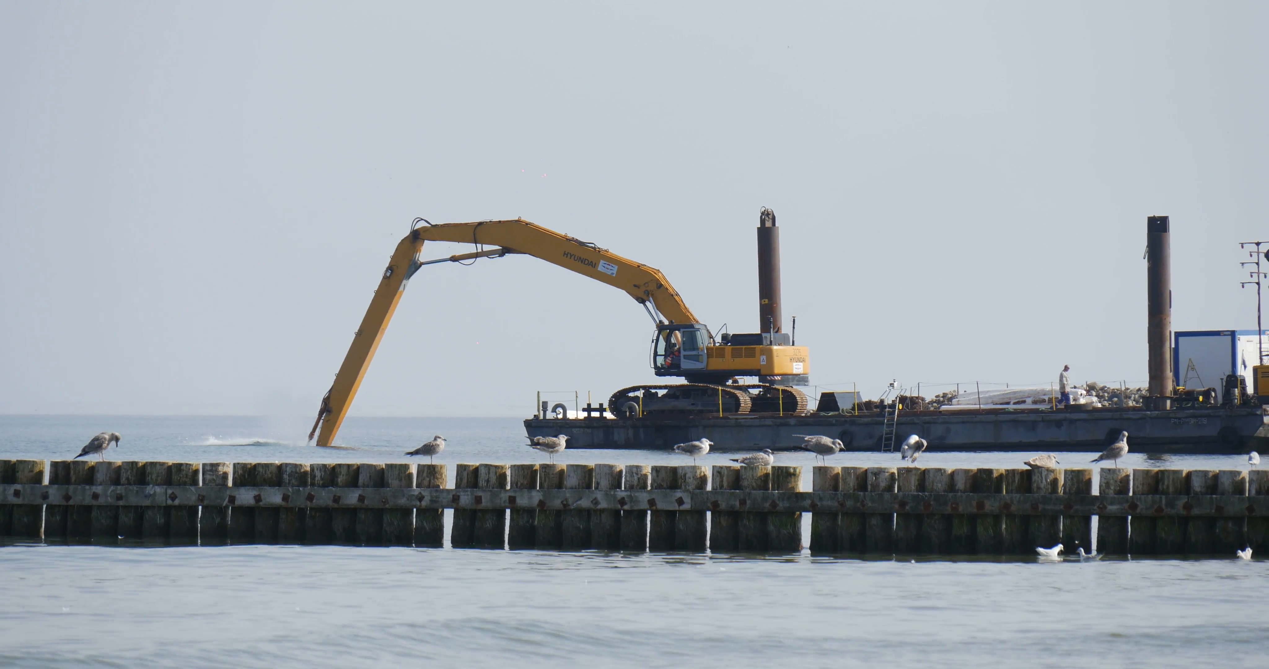 Seagulls Sit On The Breakwater Waves Working Excavator On The Board ...
