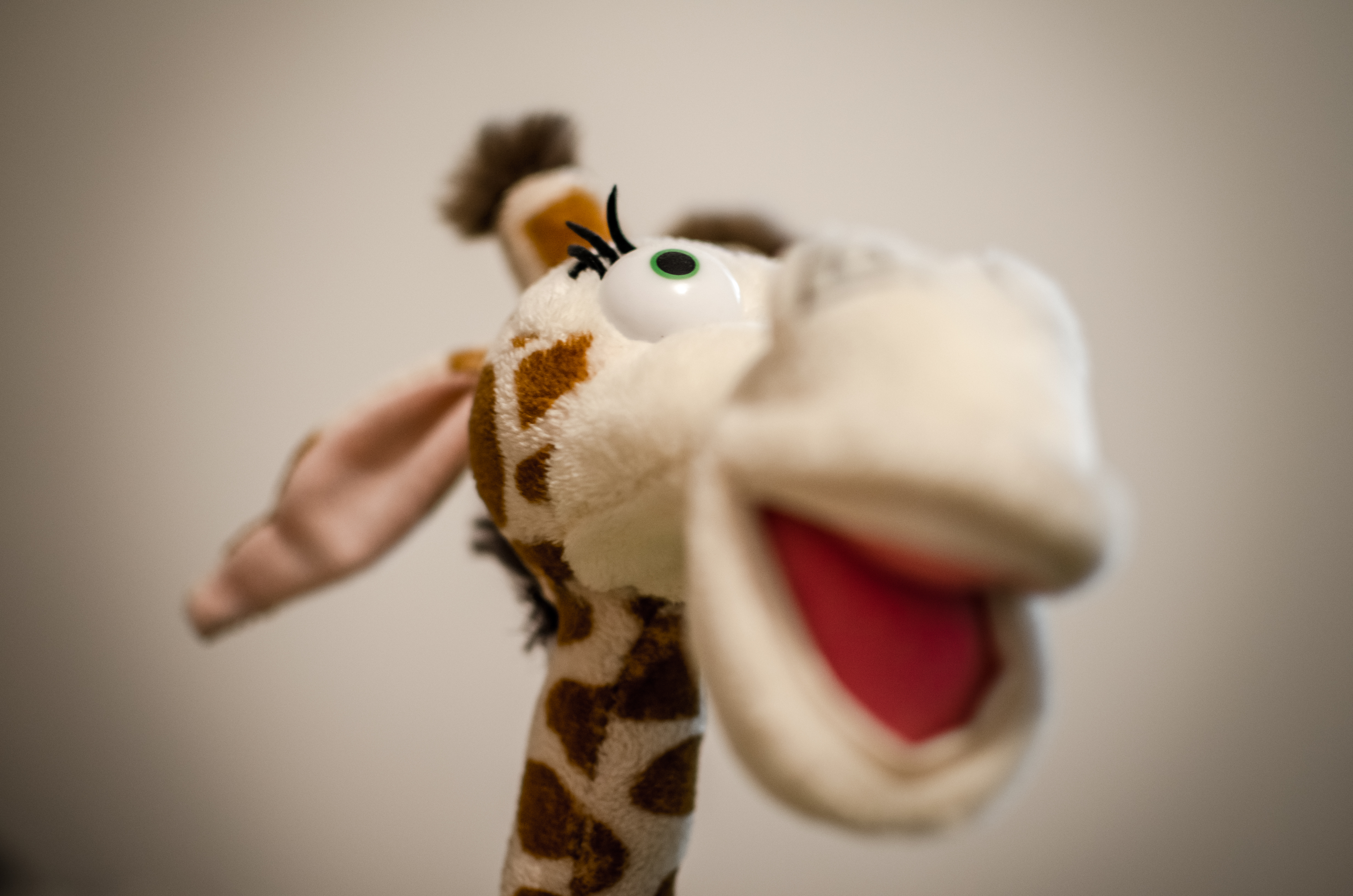 Cool giraffe toy photo
