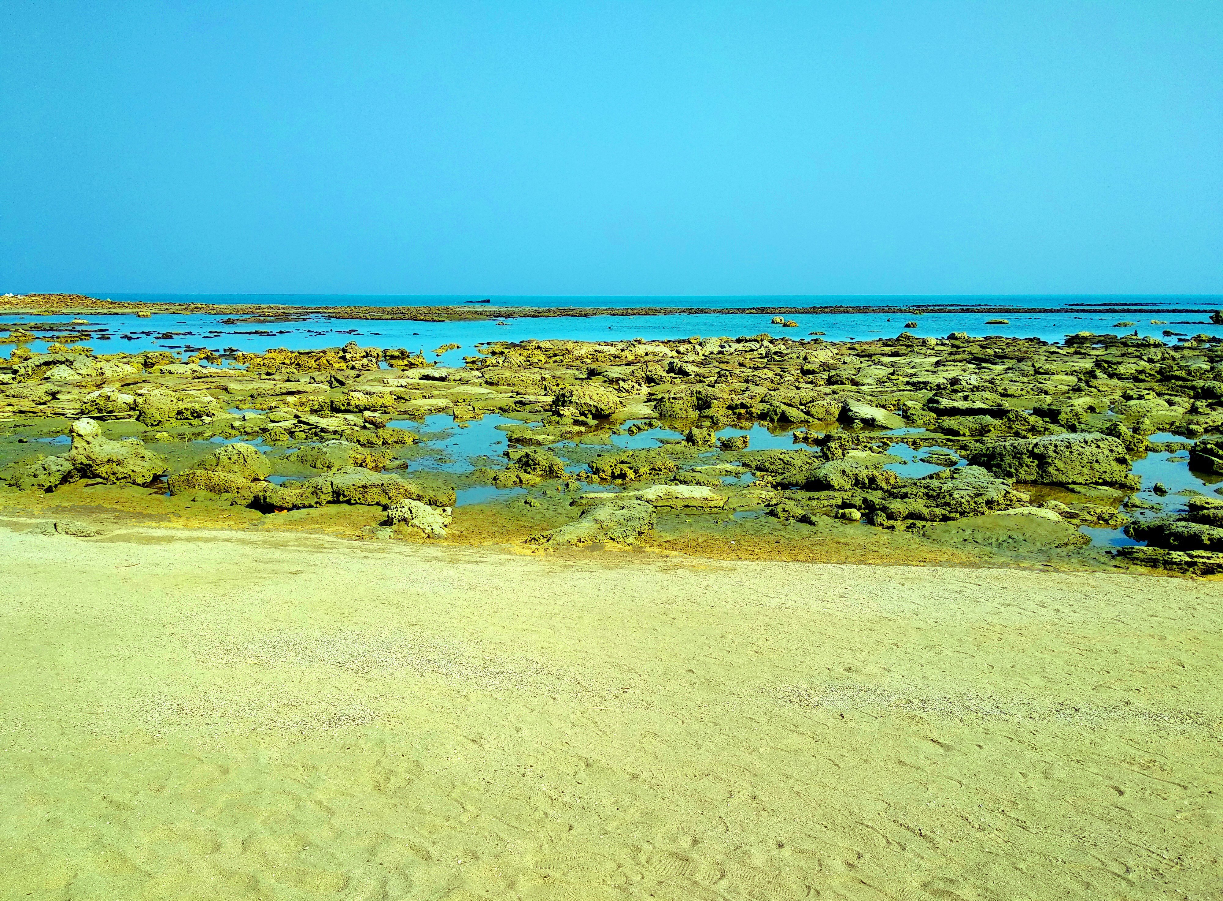 Coral sea beach of chera dwip, saint martin's island photo