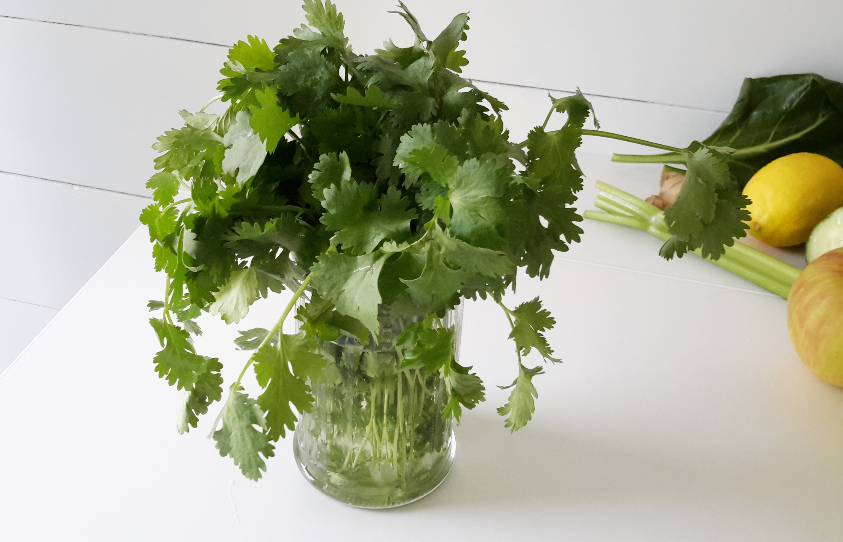 Cilantro: The Benefits, Uses and How To Keep It Fresh - You Make it ...