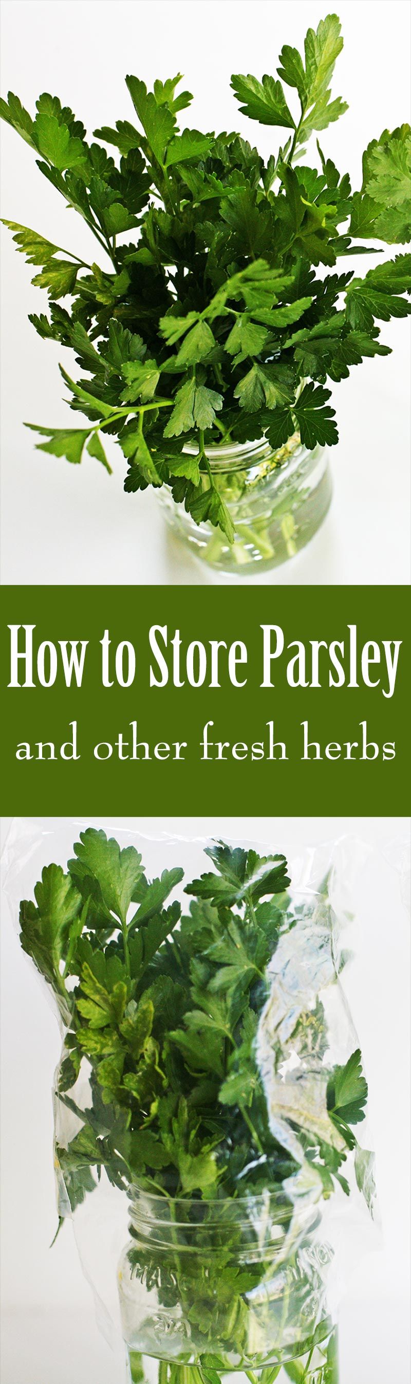 How to Store Parsley, Cilantro, and Other Fresh Herbs ~ Have you ...