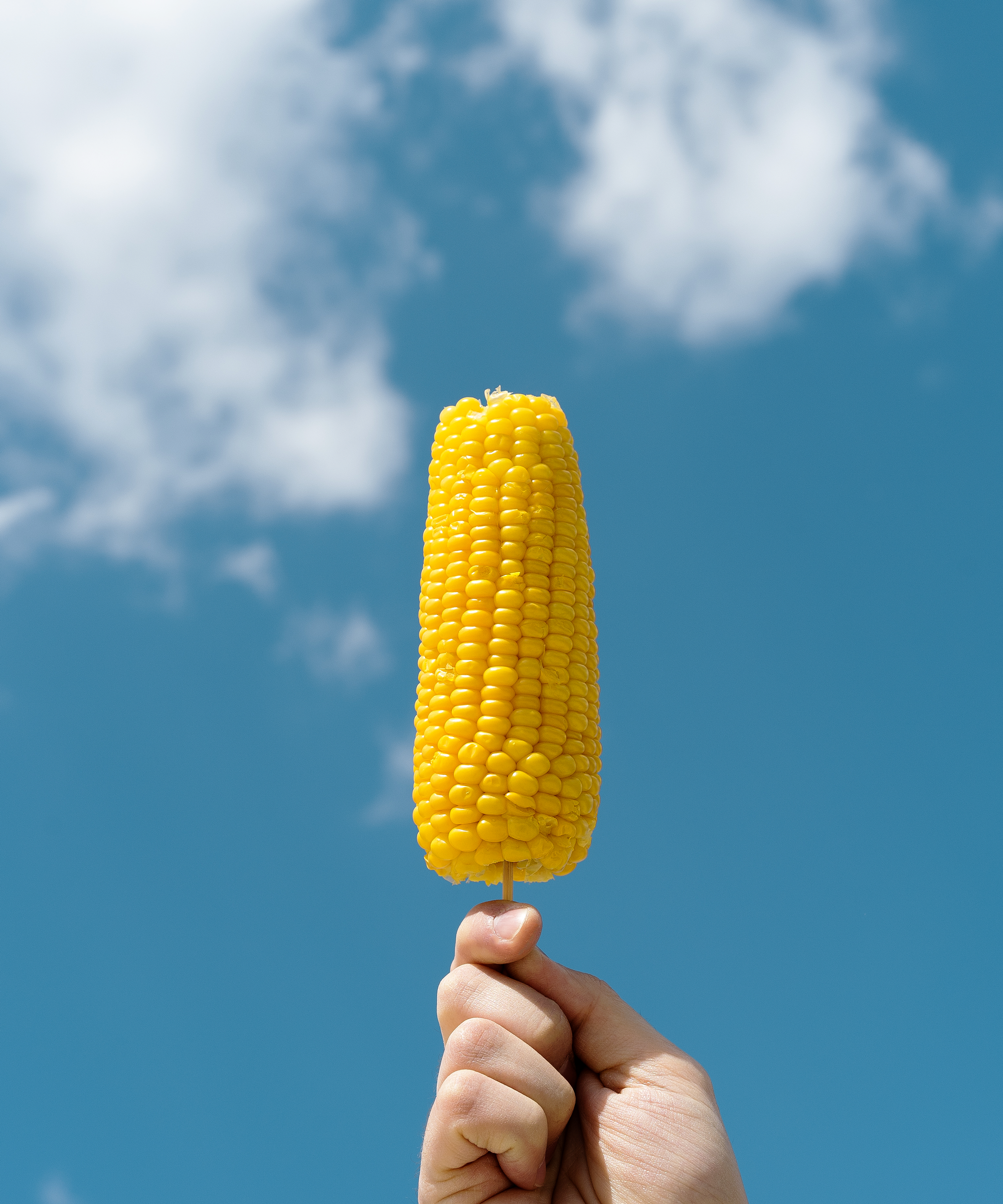 Hokkaido Viral Corn Eating Hack Twitter Photos