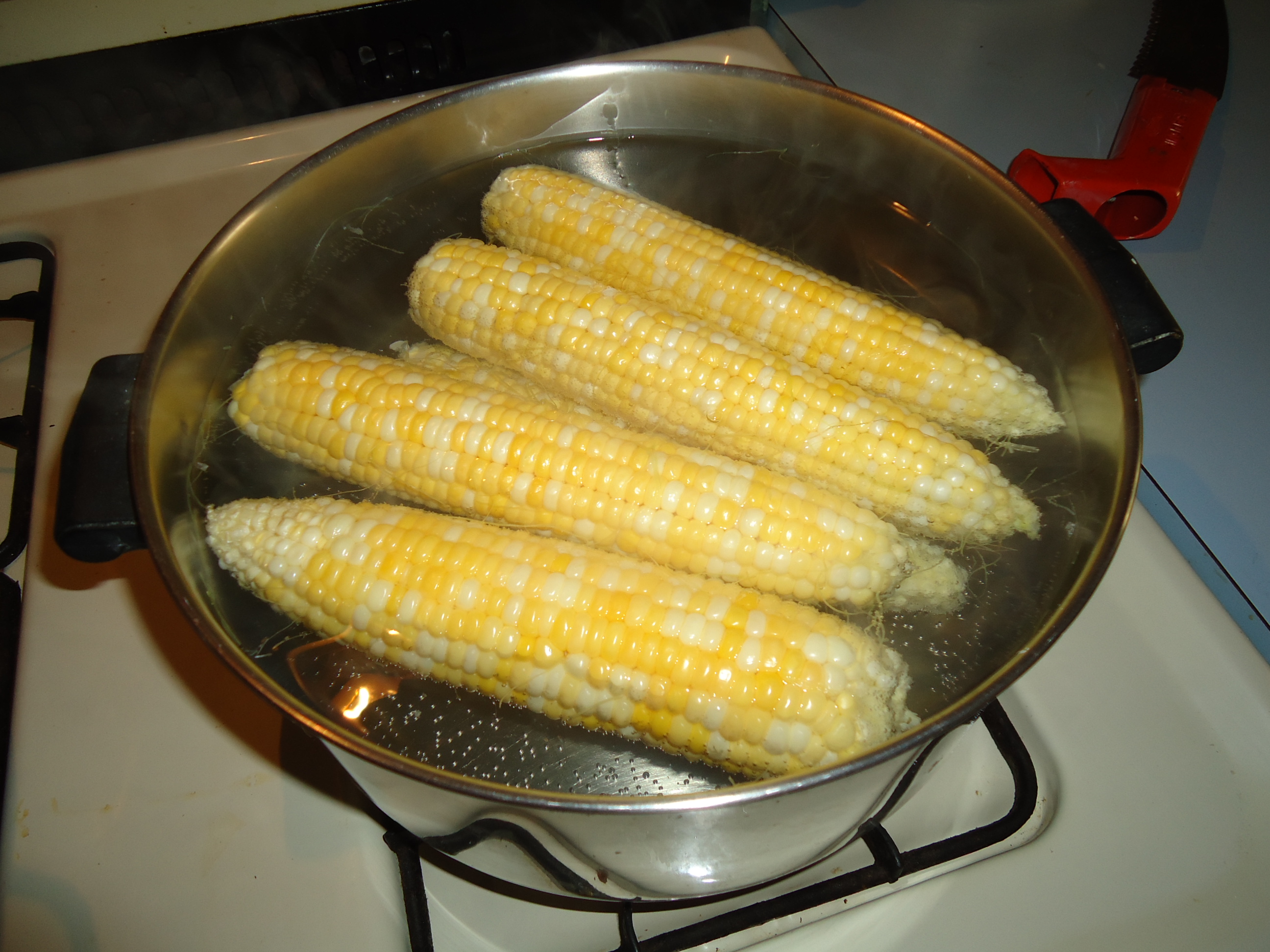 Corn on the cob photo