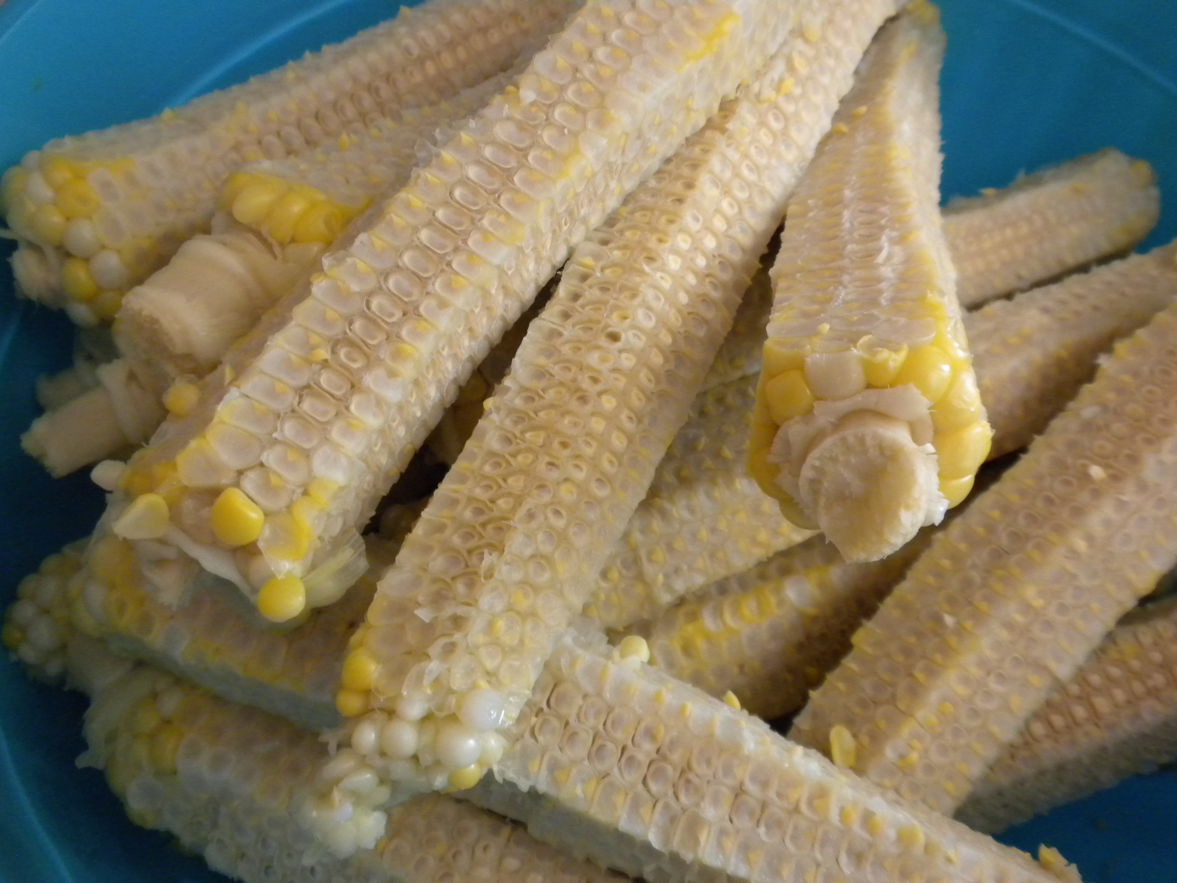 Parable of the Corn Cobs – Living with great expectation …