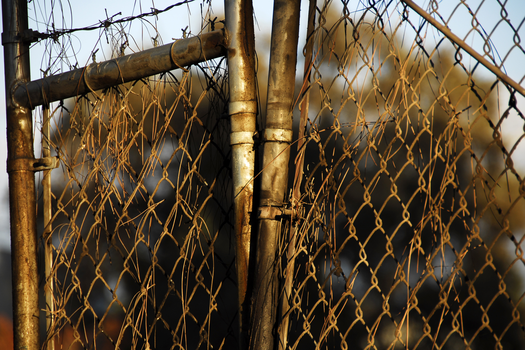 Corroded & rusted chain-link fence photo
