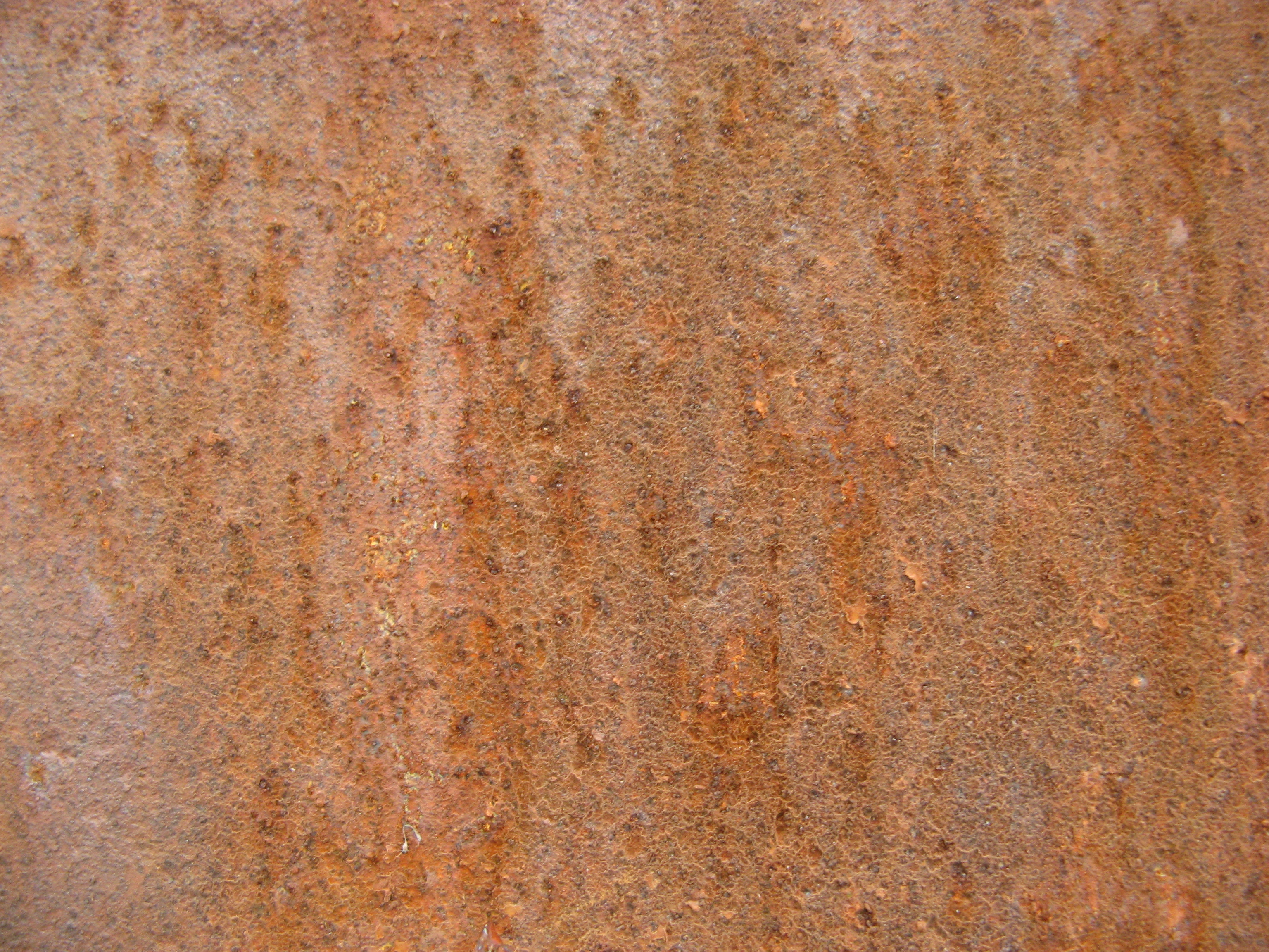 Rust on a wall фото 27
